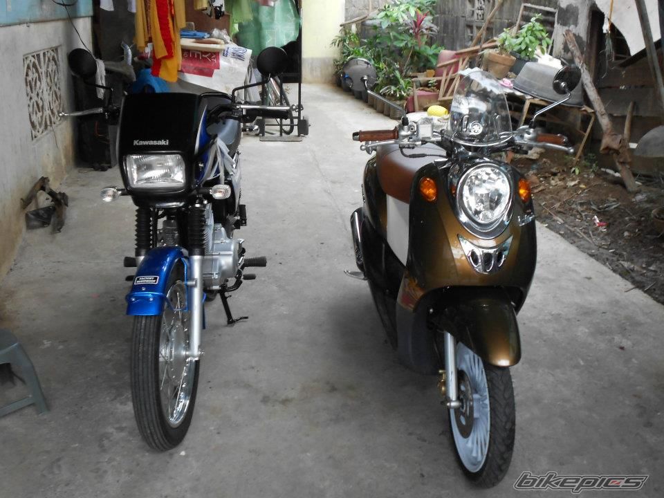Photo 2568892