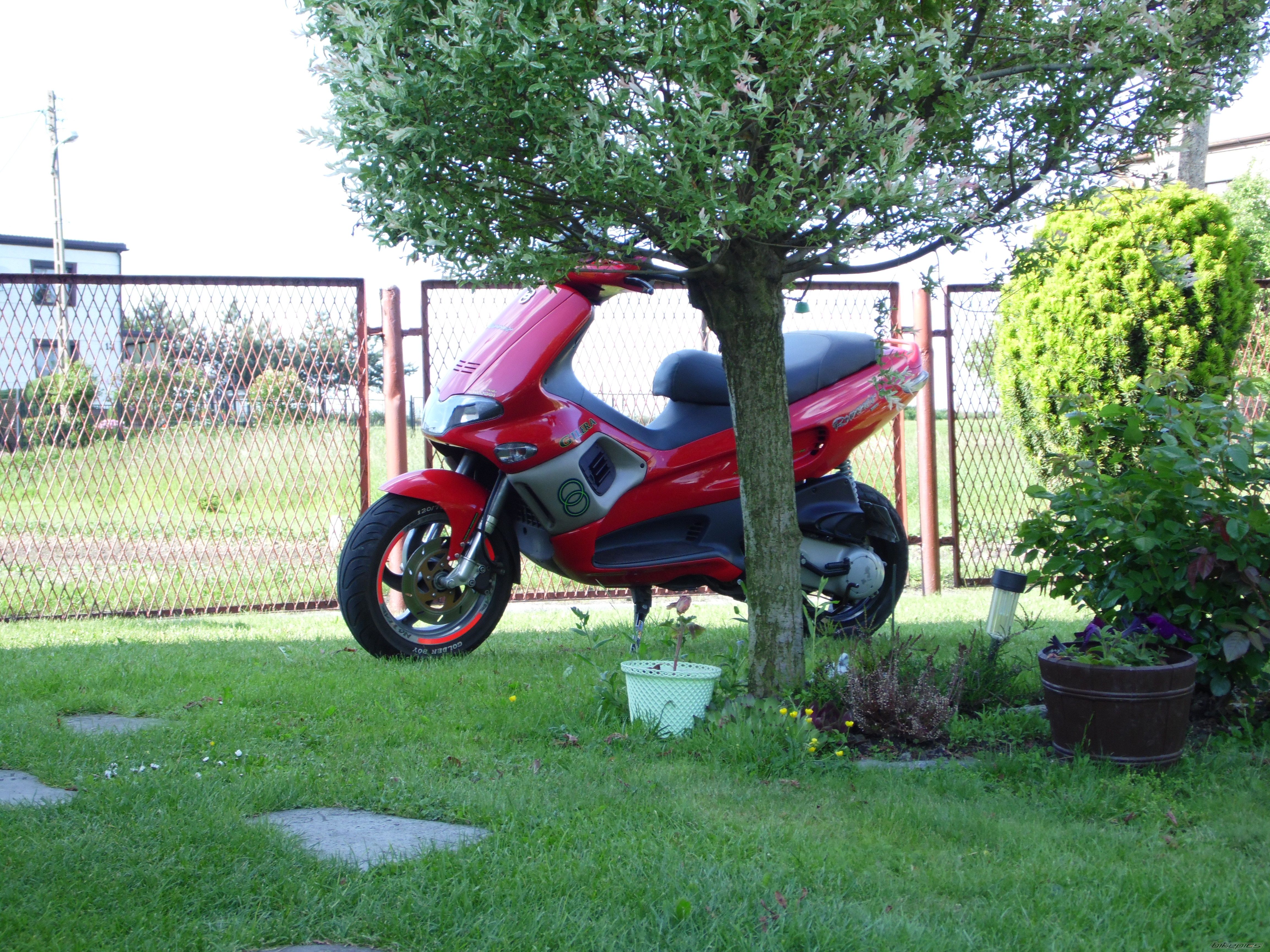 Photo 2568967
