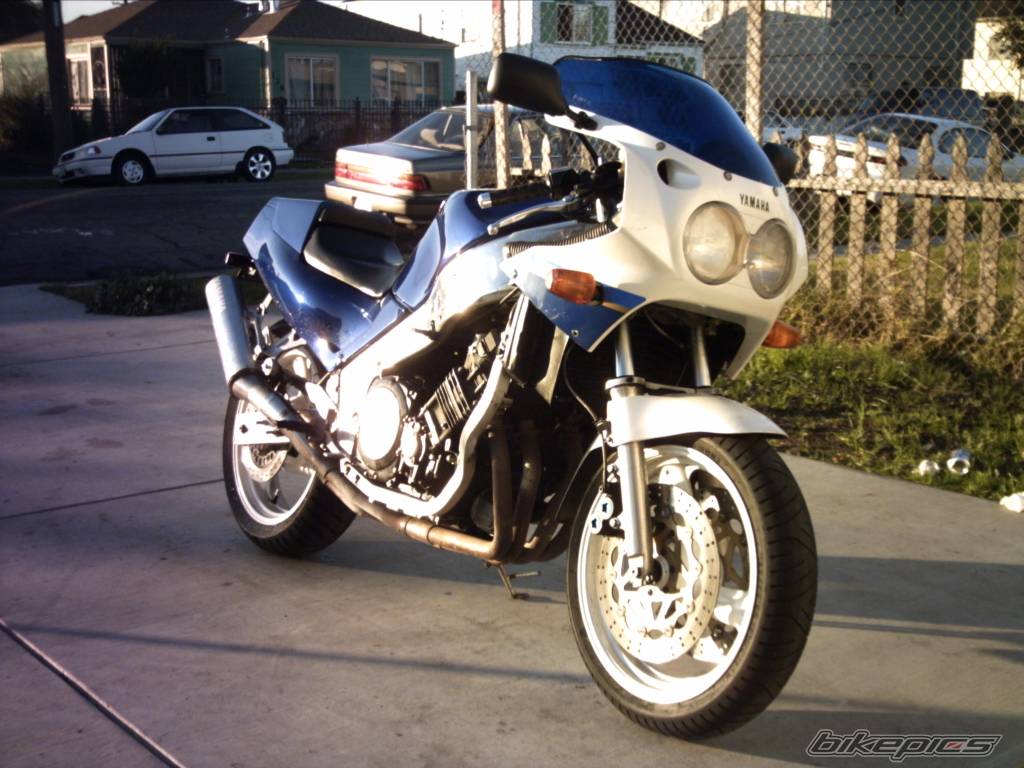Photo 256903