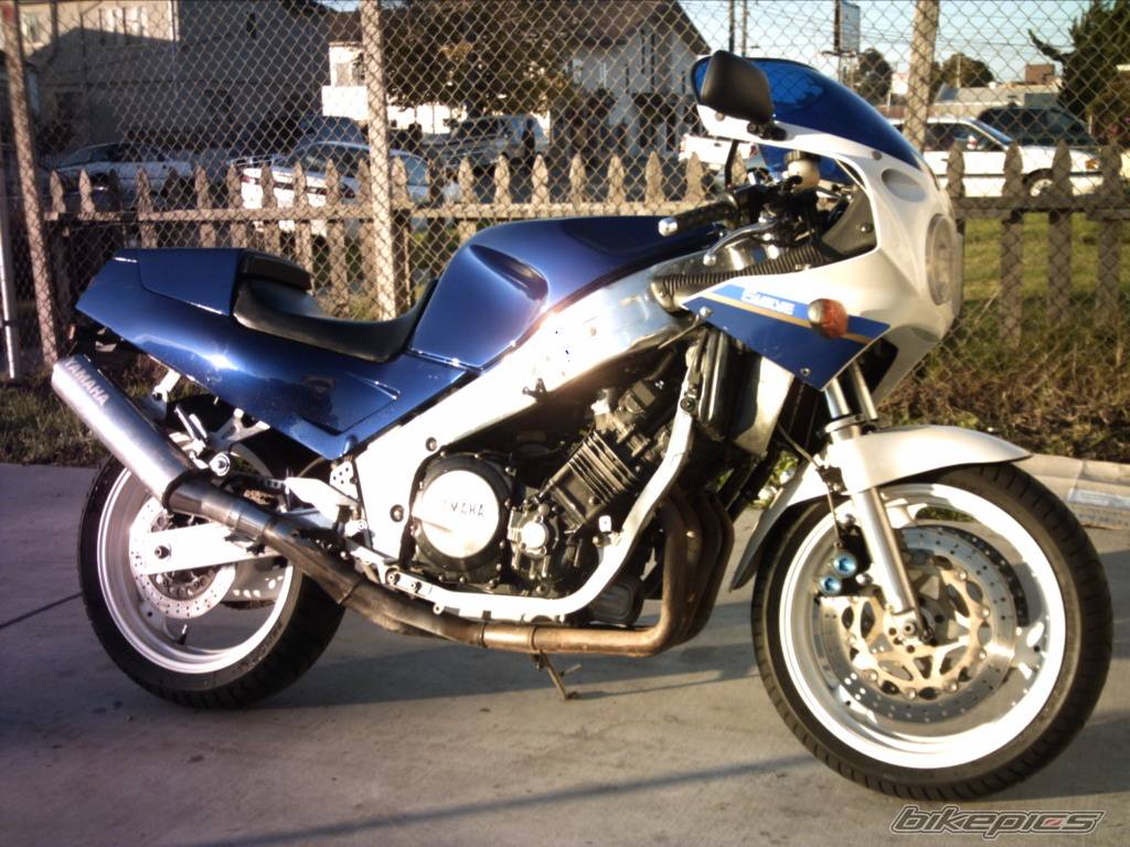 Photo 256904