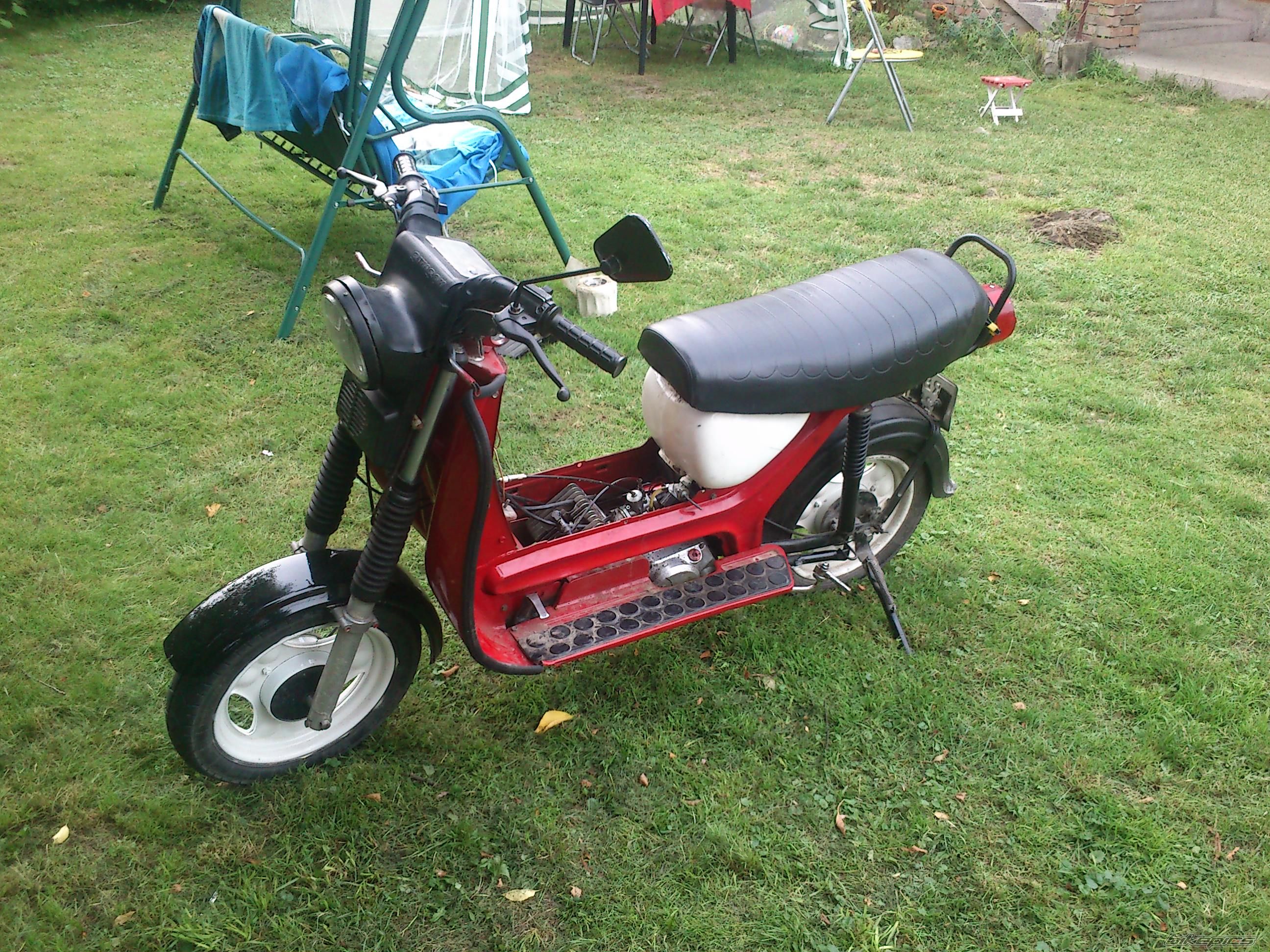Photo 2569054