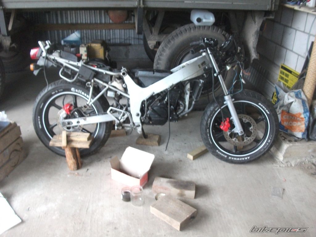 Photo 2569133