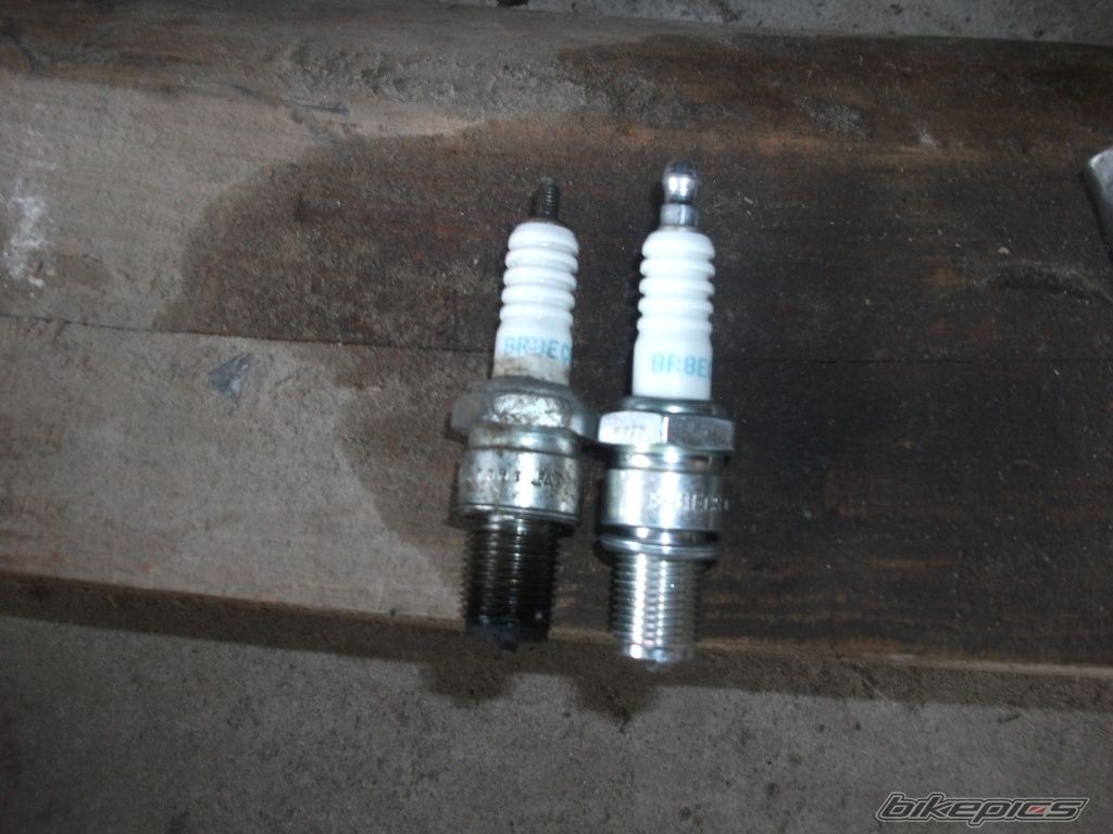 Photo 2569135