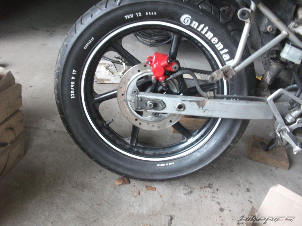 Photo 2569136