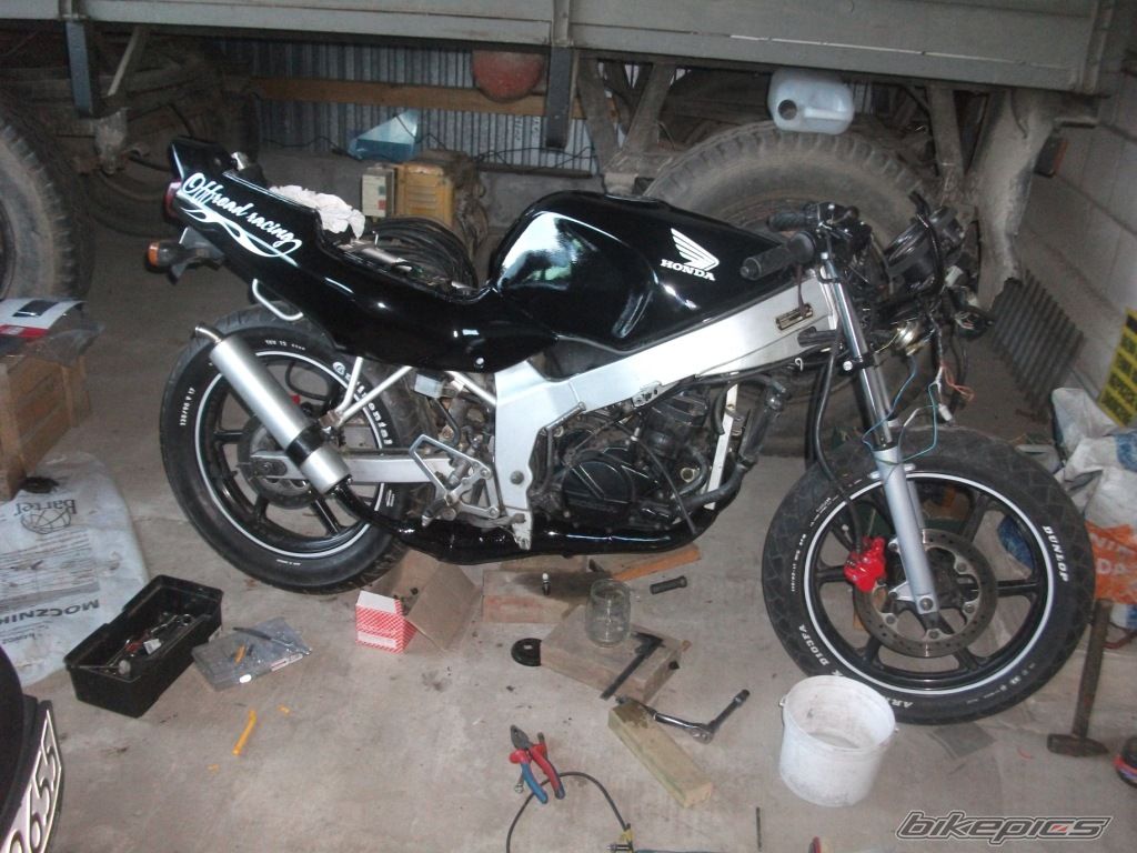 Photo 2569142