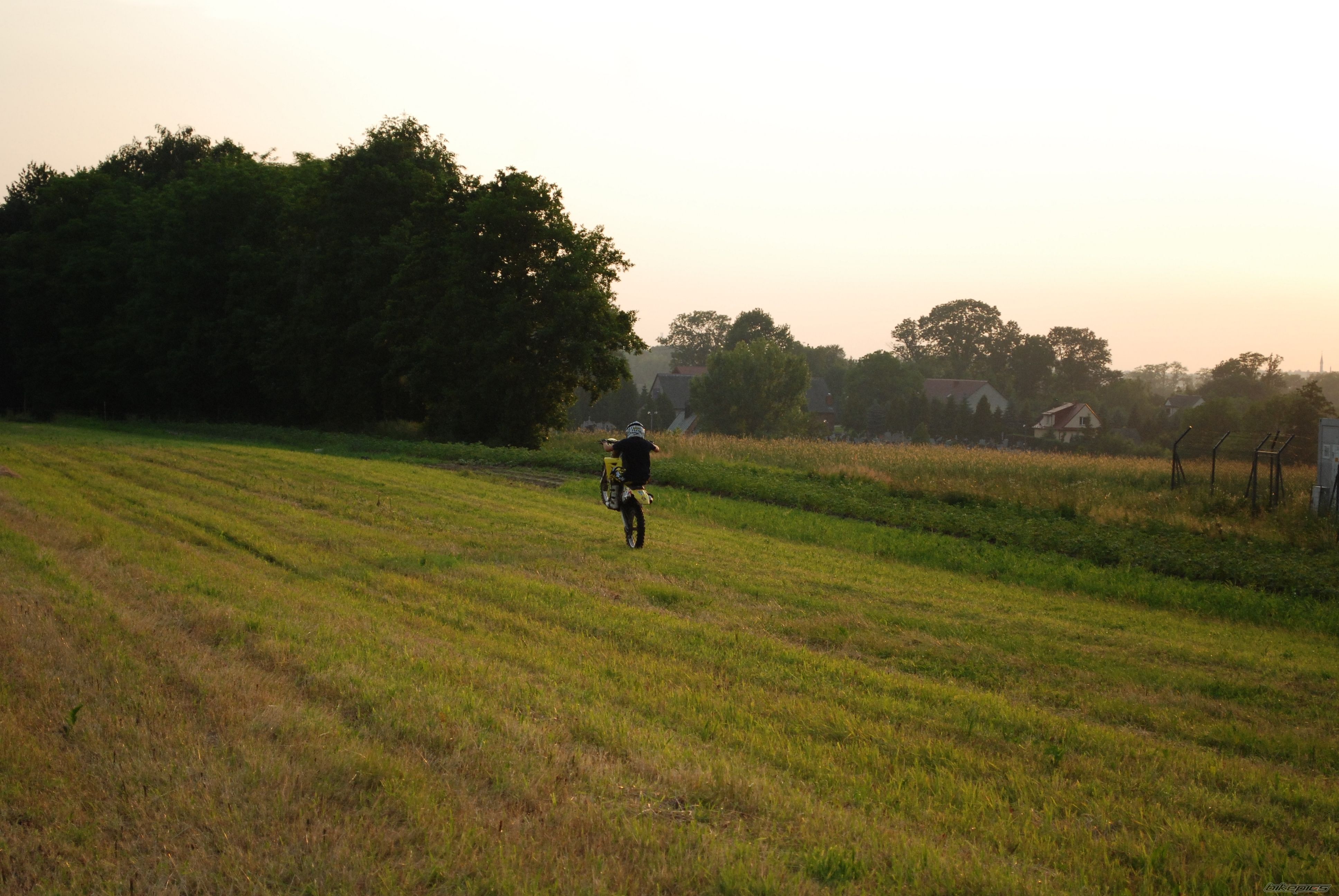 Photo 2569165