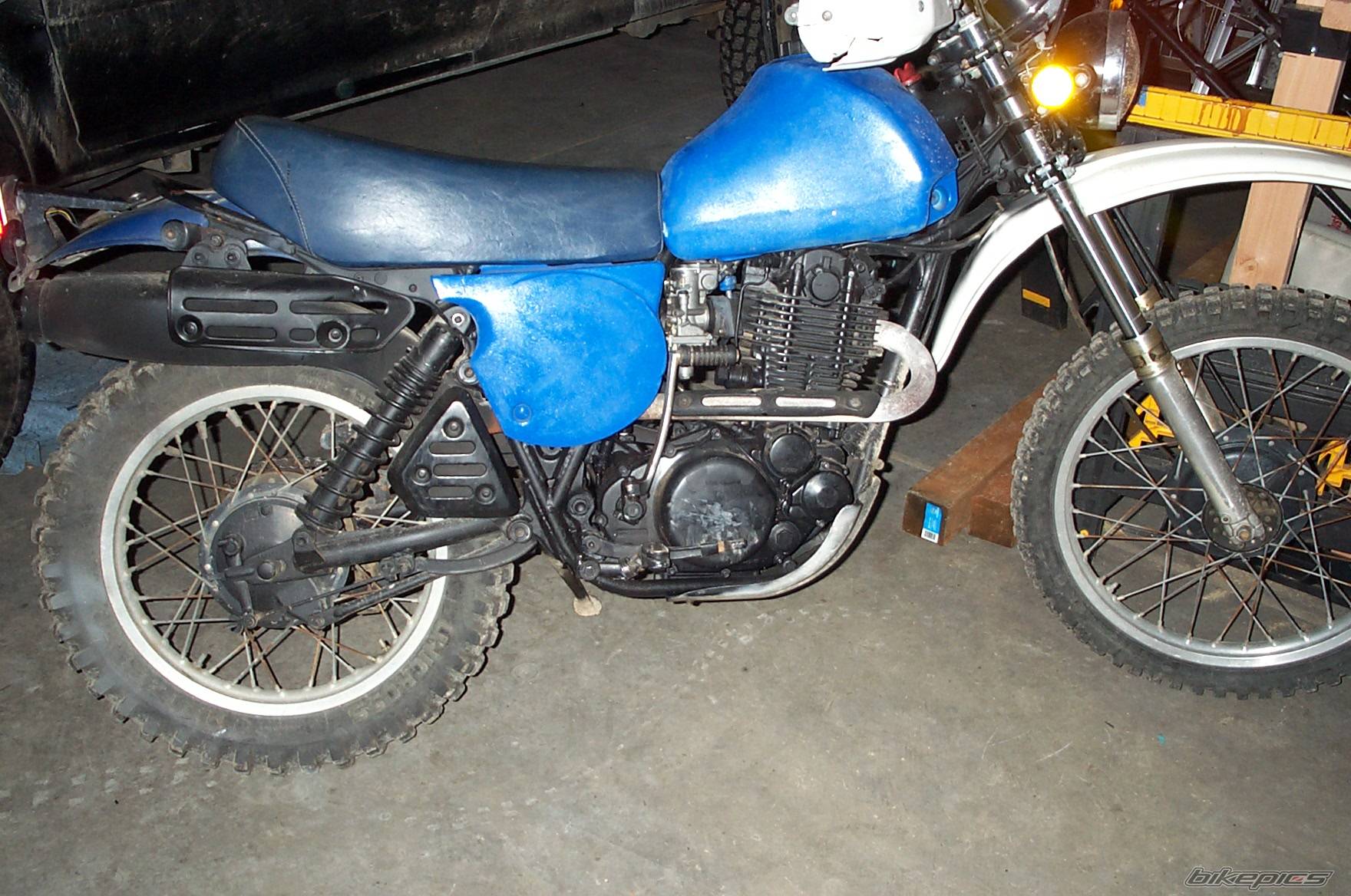 Photo 256917