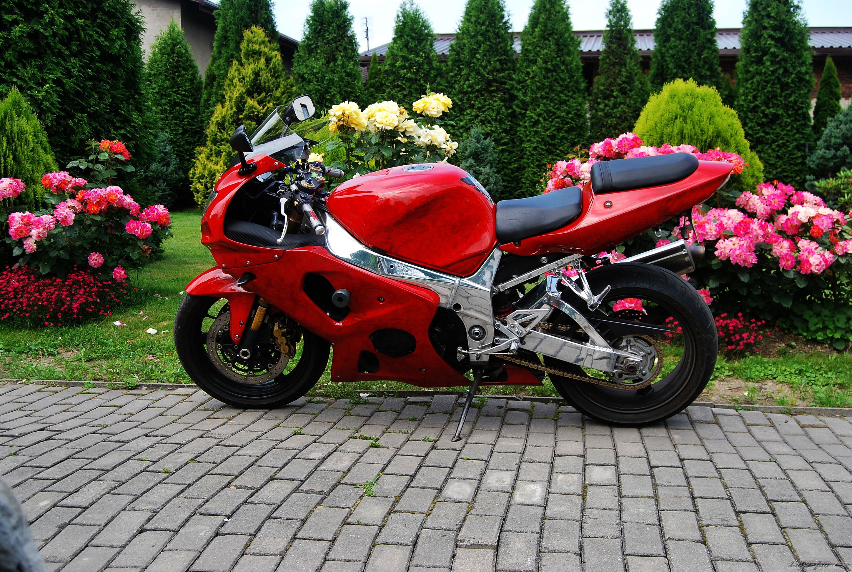 Bike Photo 2569211