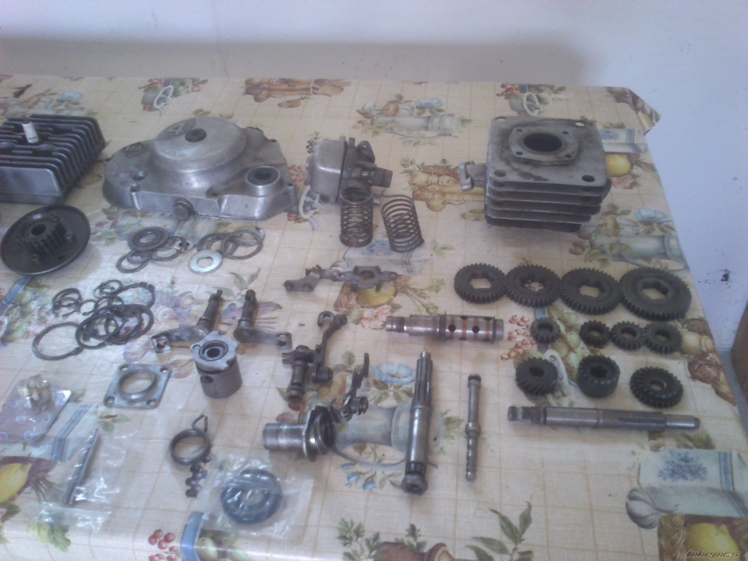 Photo 2569217