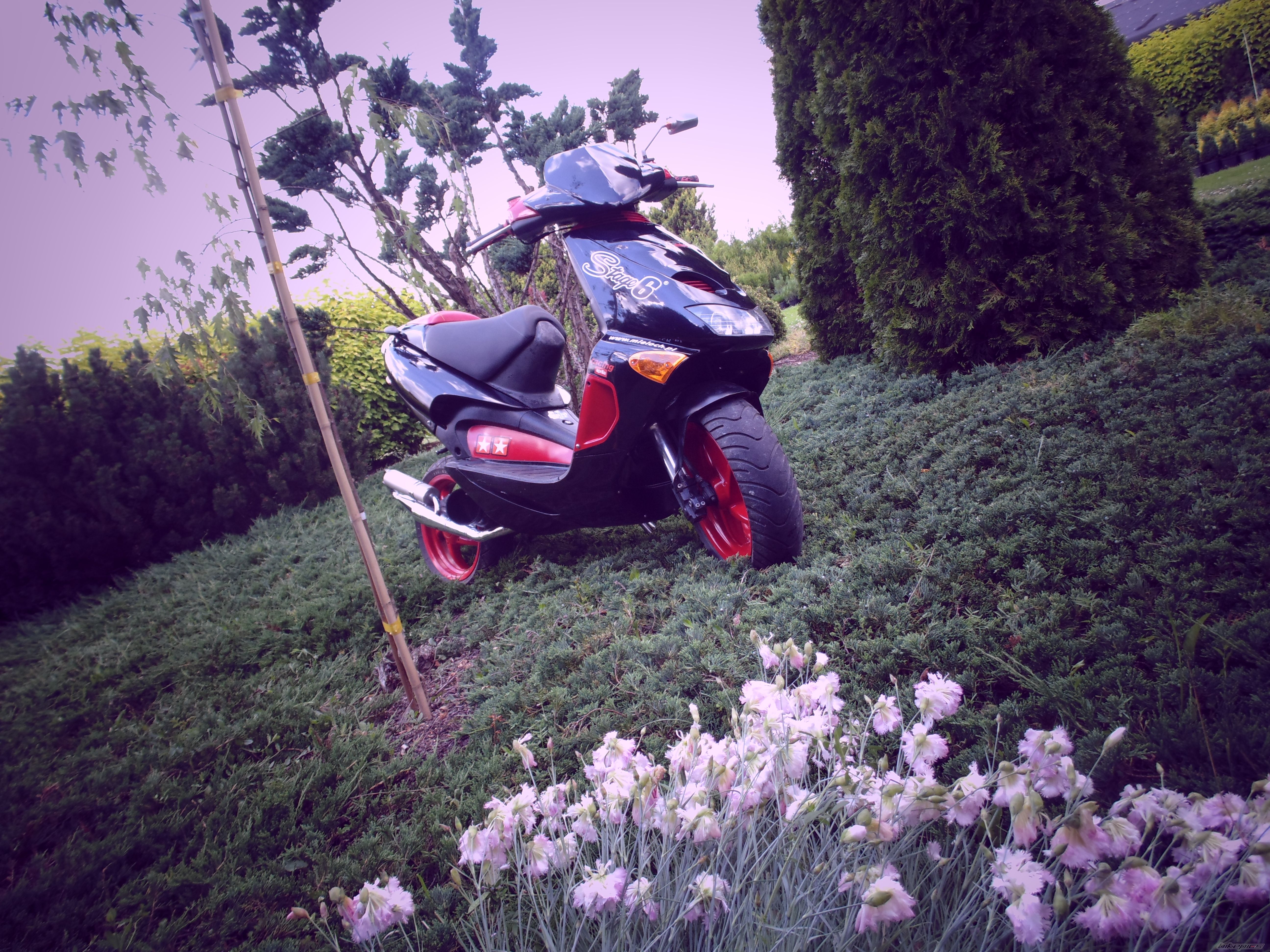 Photo 2569261