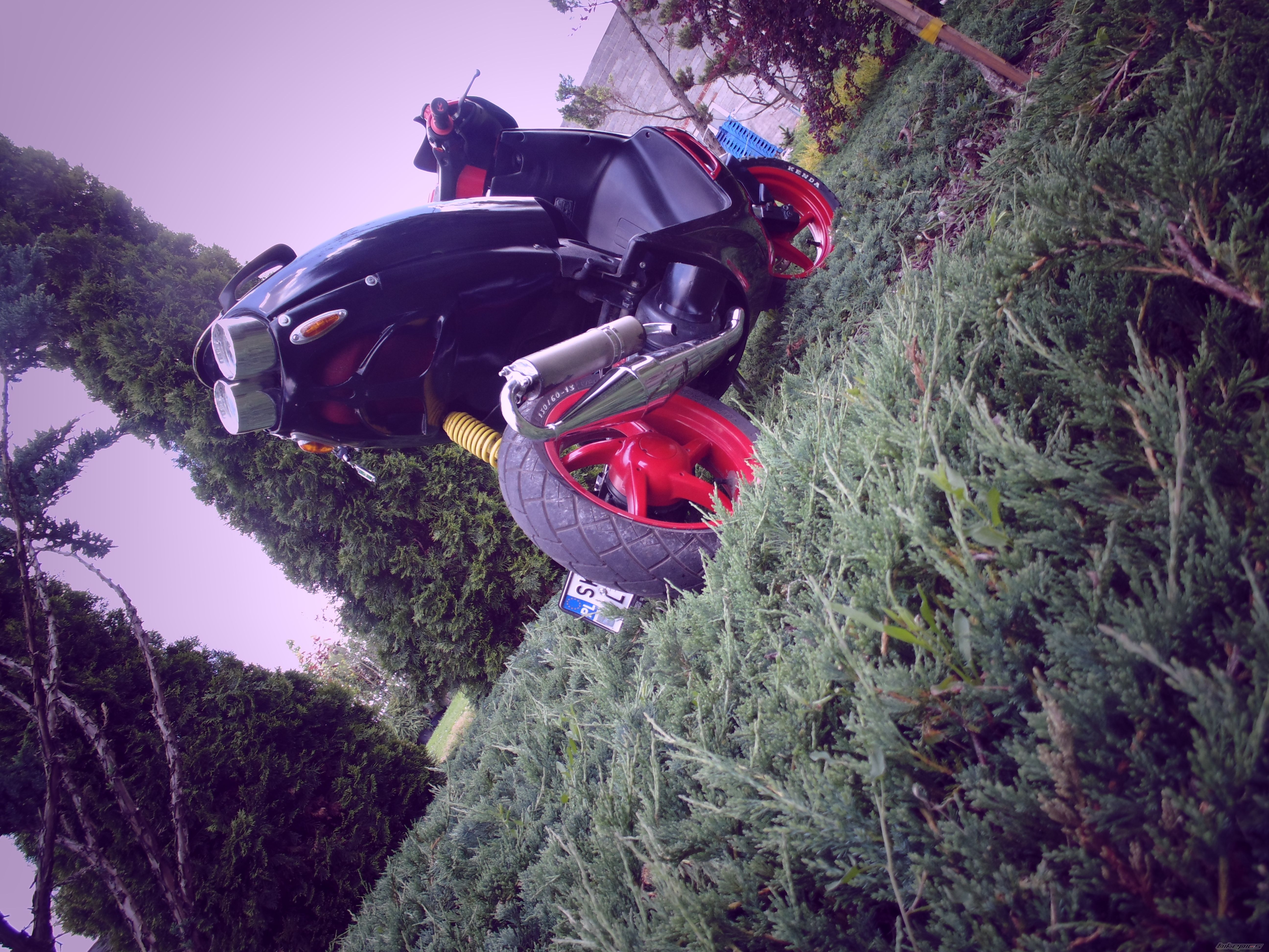Photo 2569263