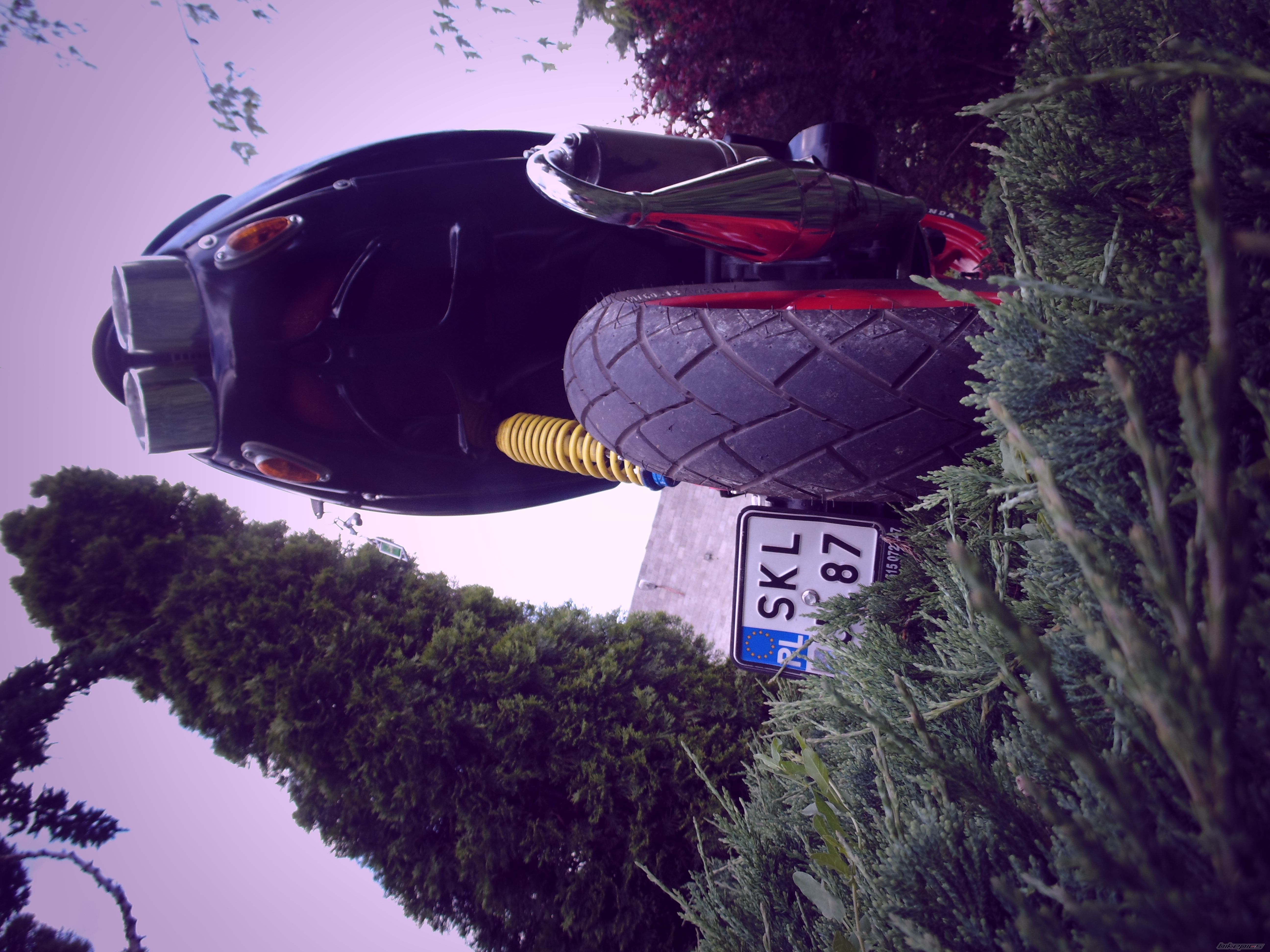Photo 2569264