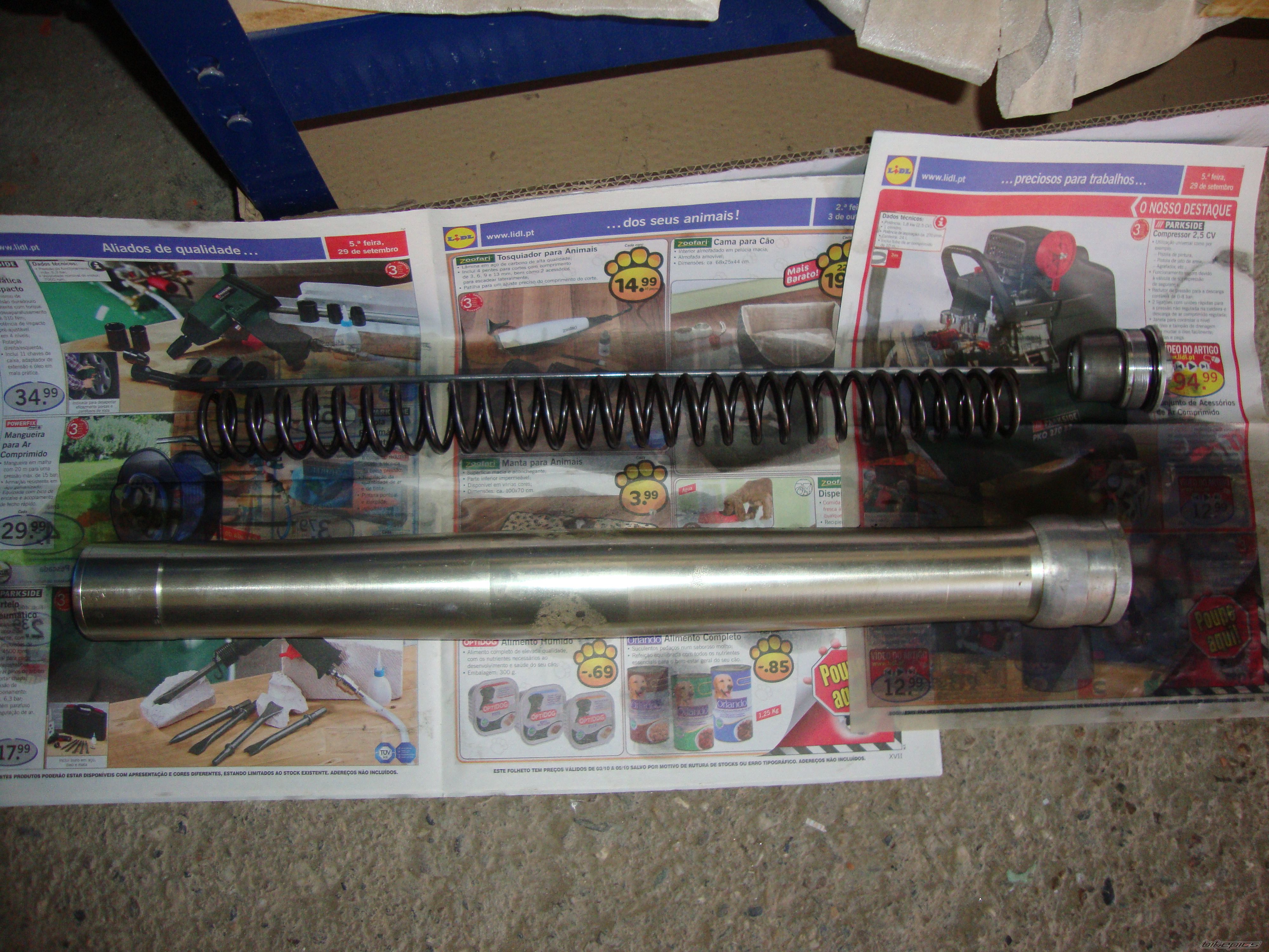 Photo 2569290