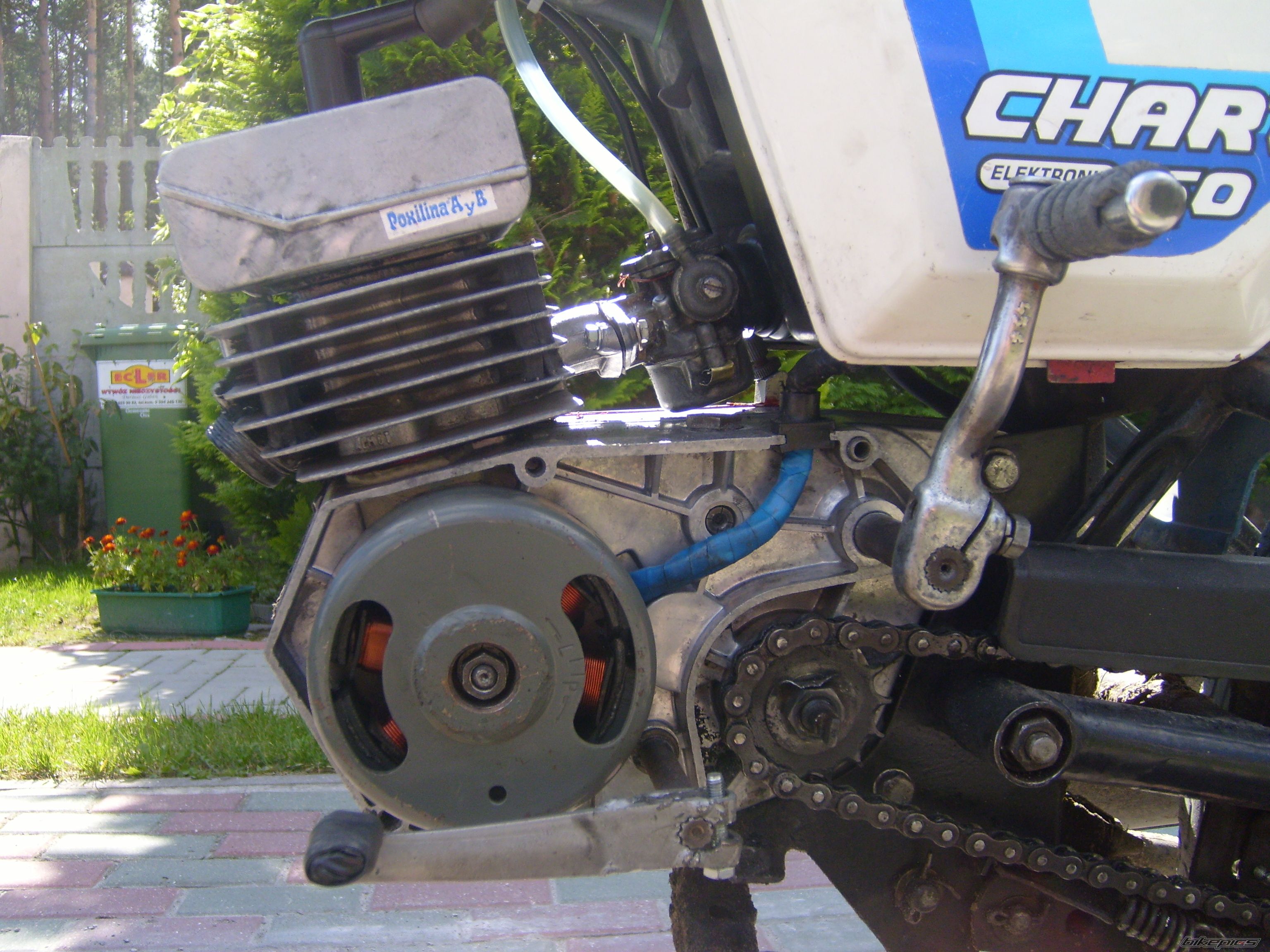 Photo 2569312