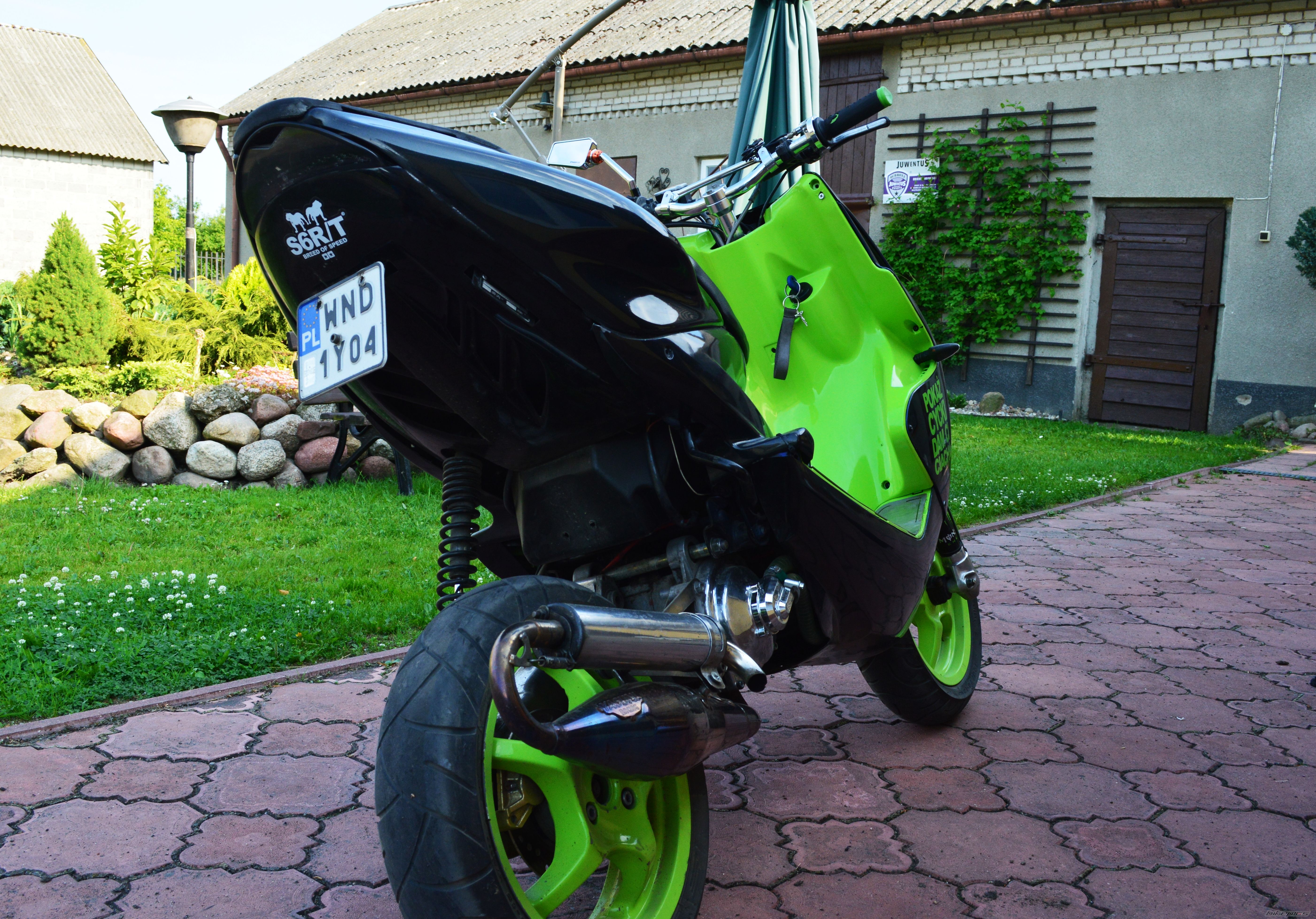 Photo 2569331