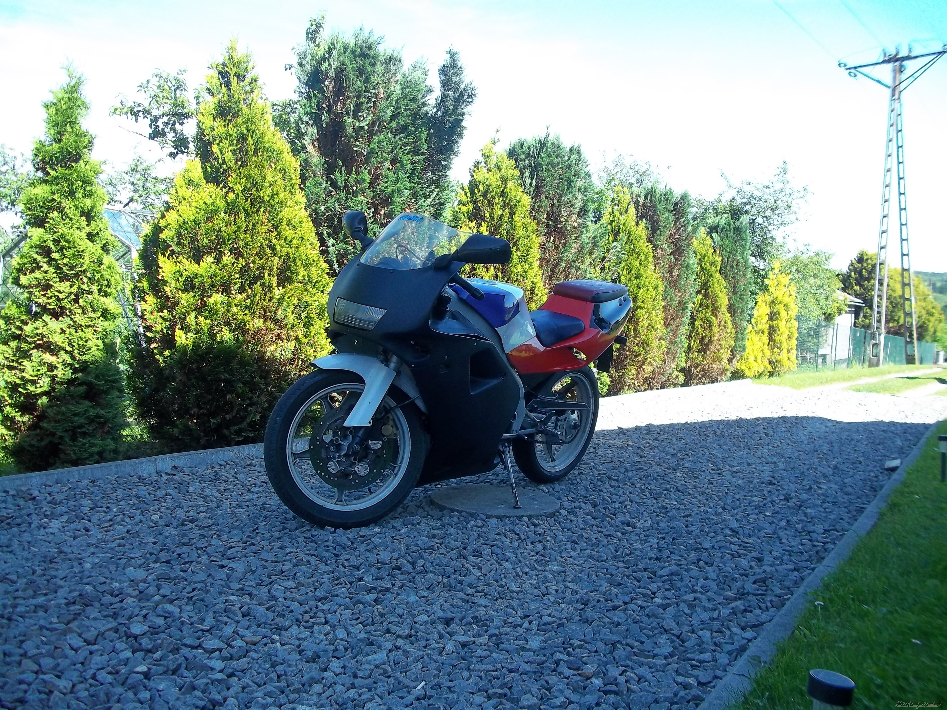 Photo 2569337