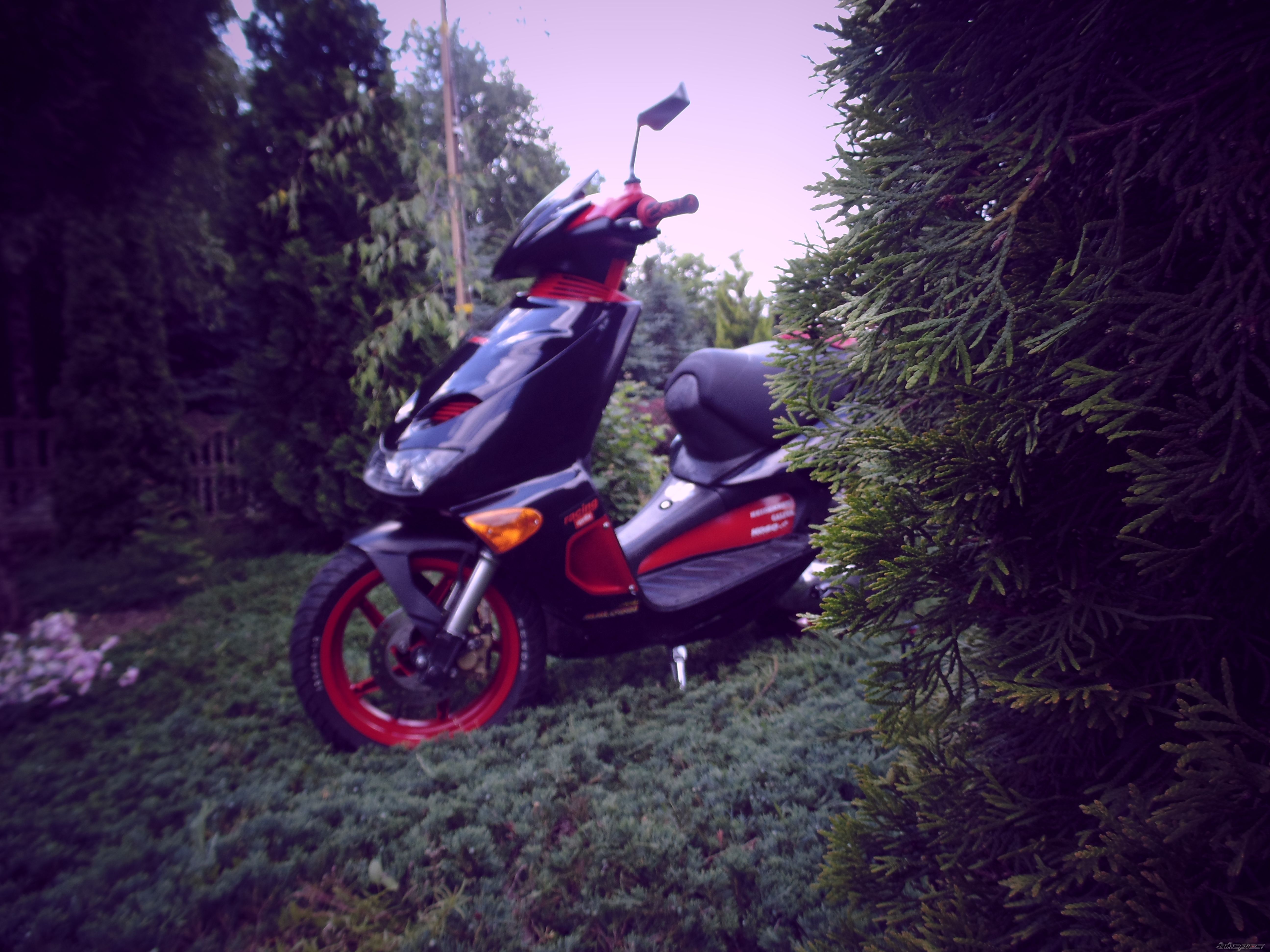Photo 2569352