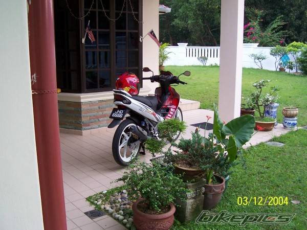 Photo 256952