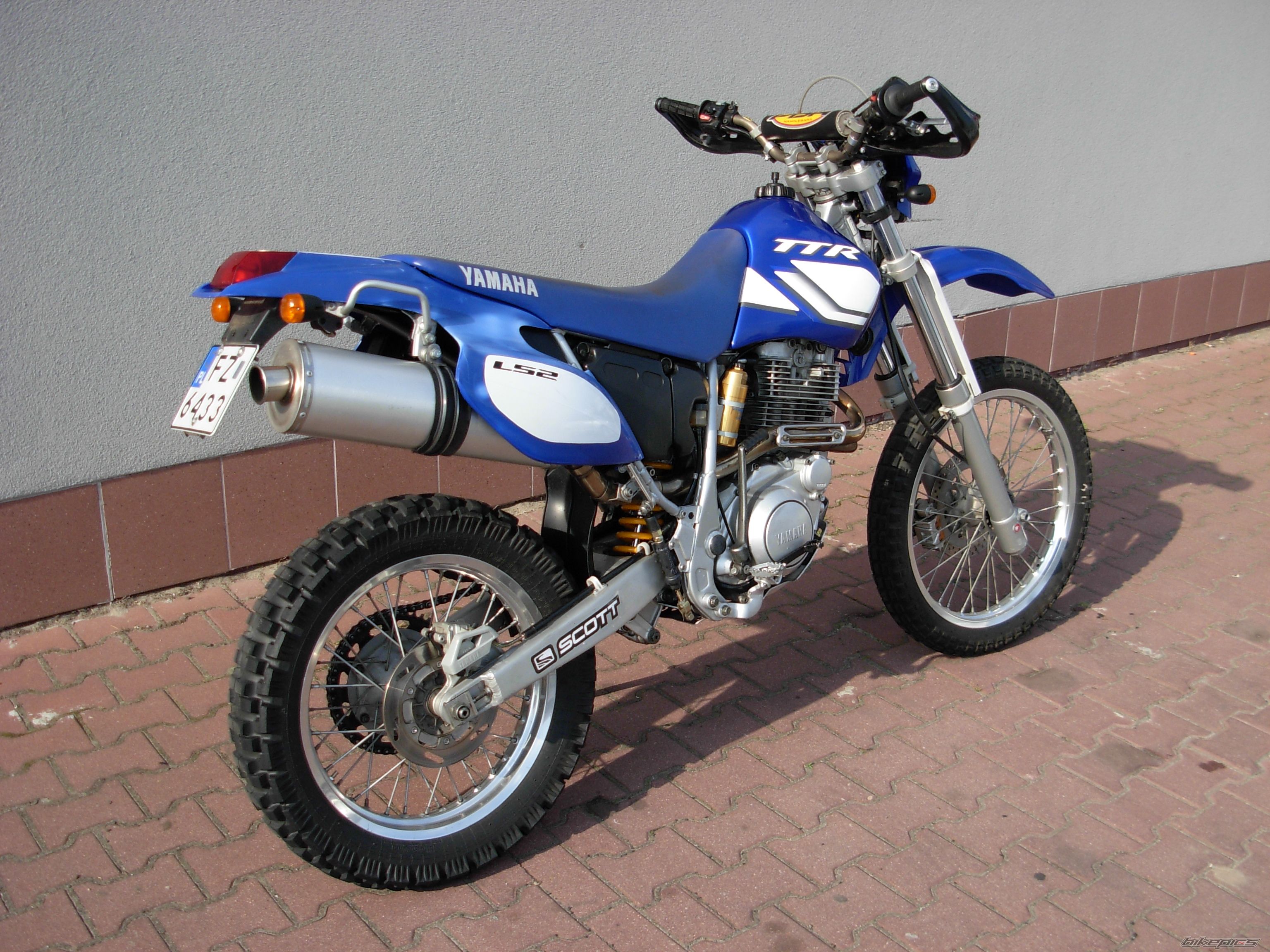 Photo 2569551