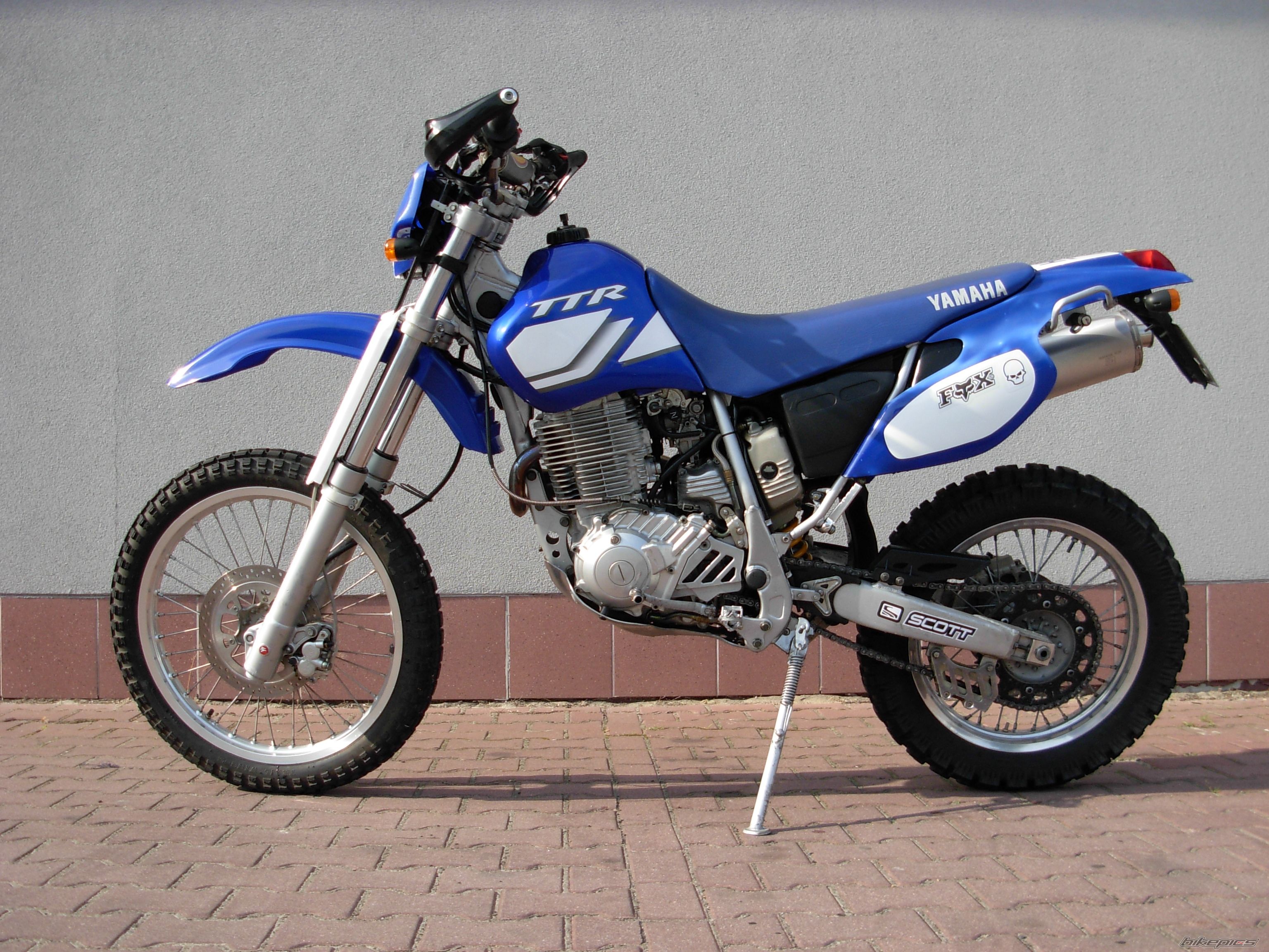 Photo 2569552