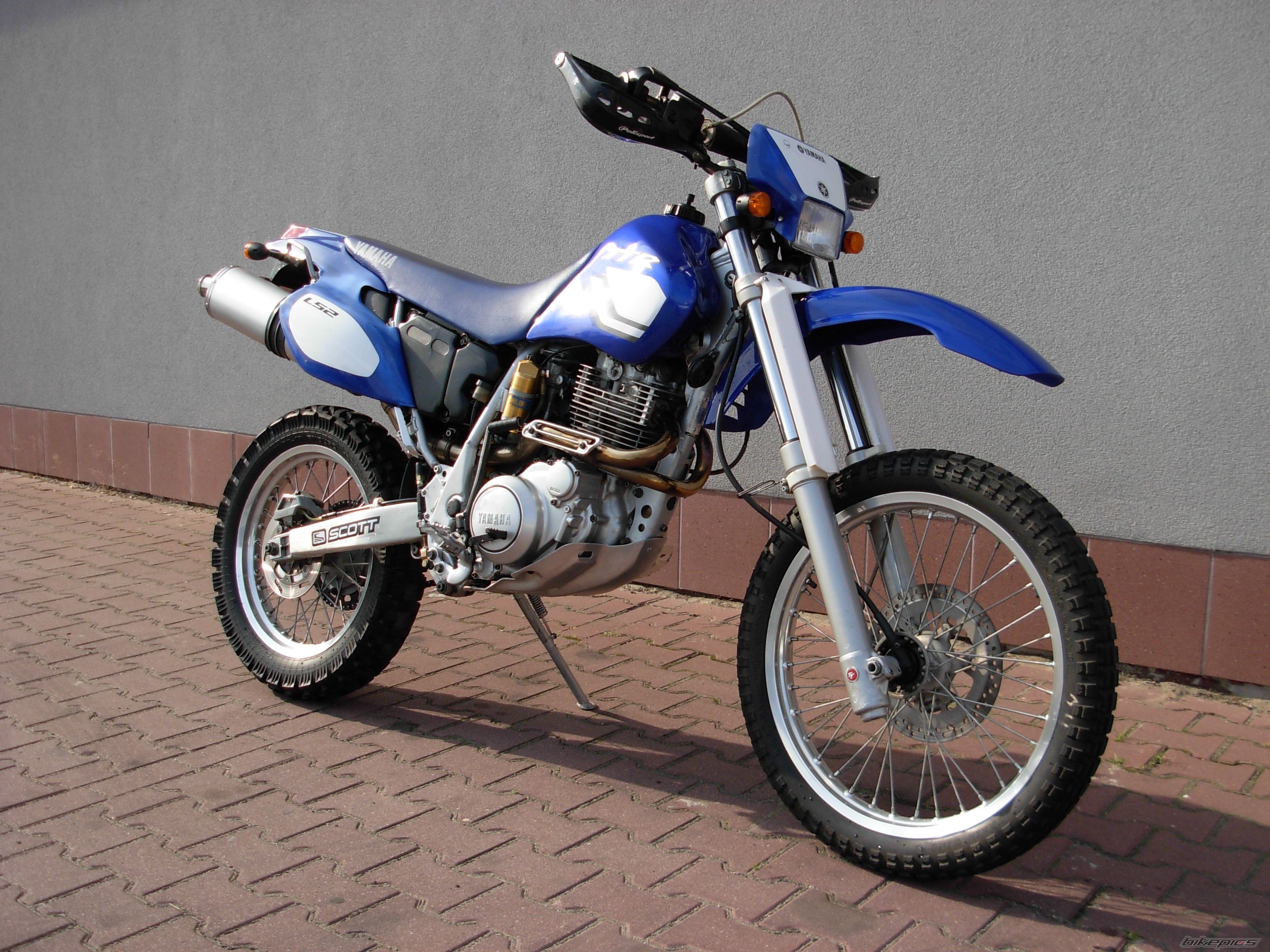 Photo 2569553