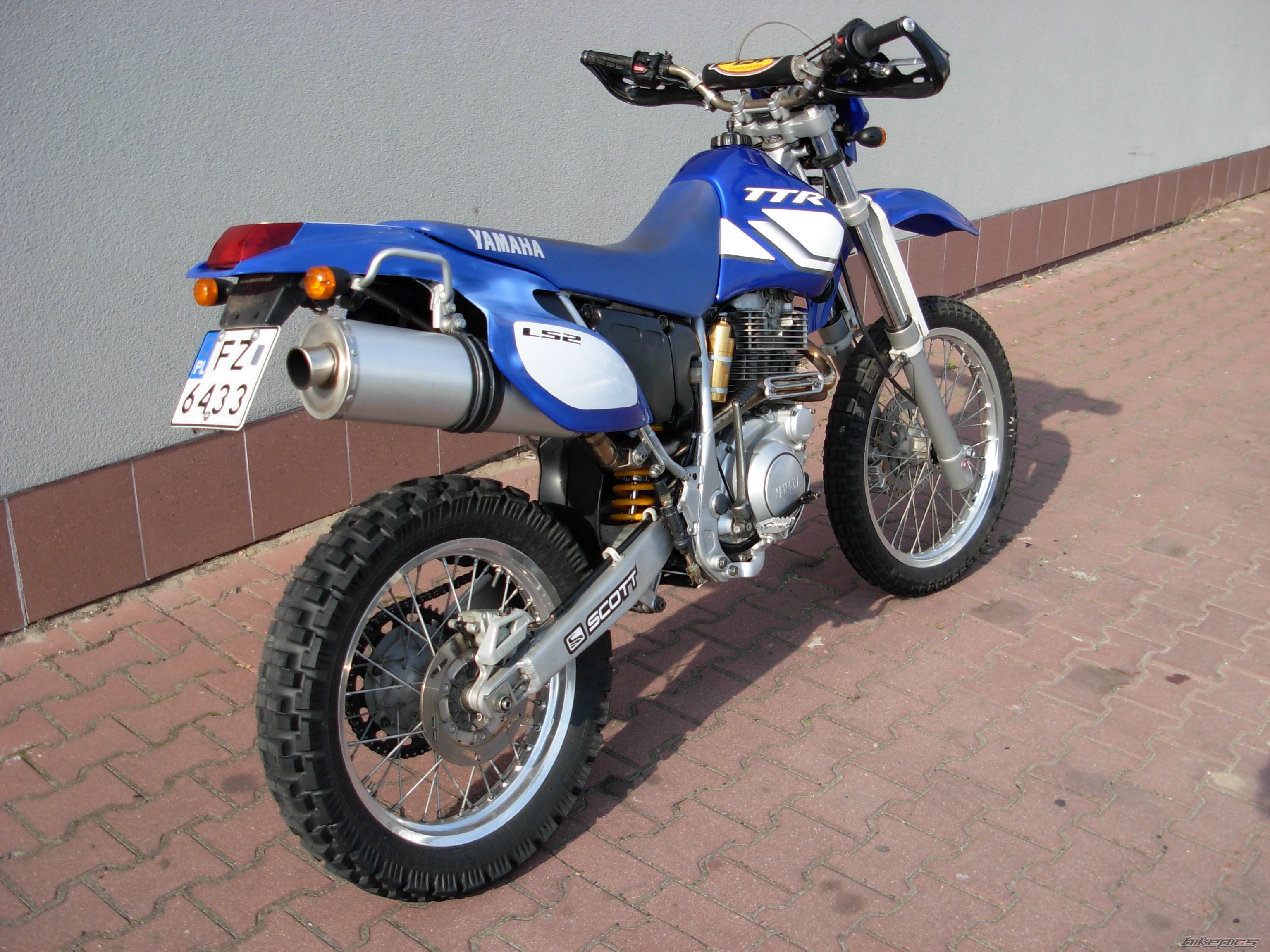 Photo 2569554