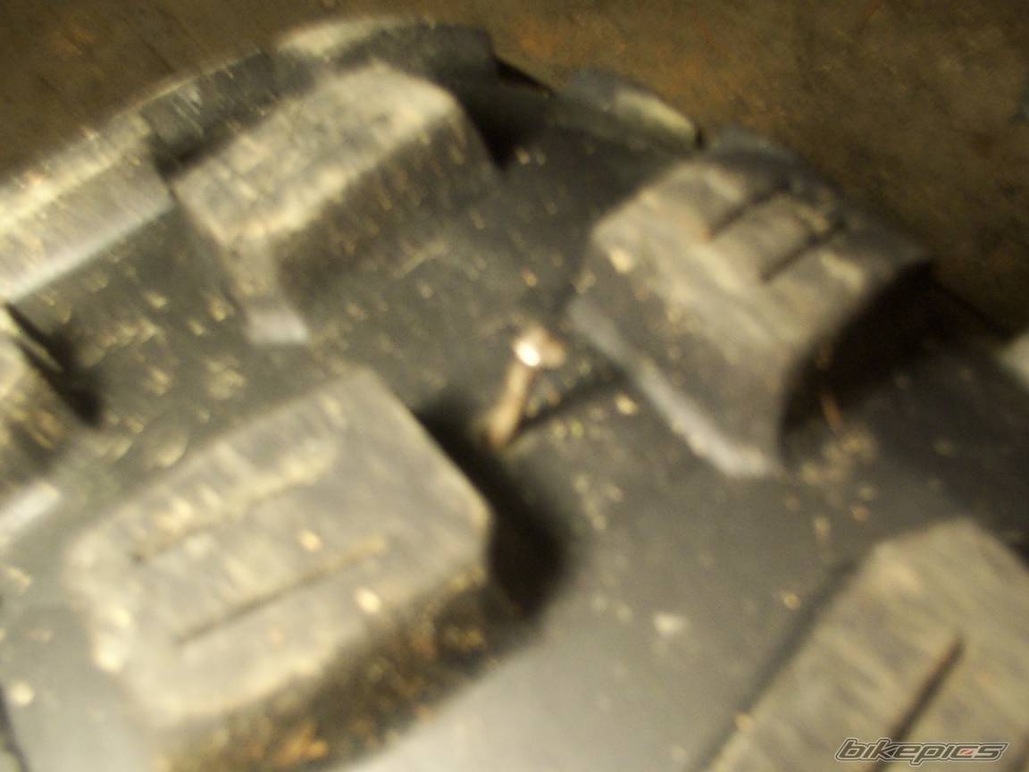 Photo 256960