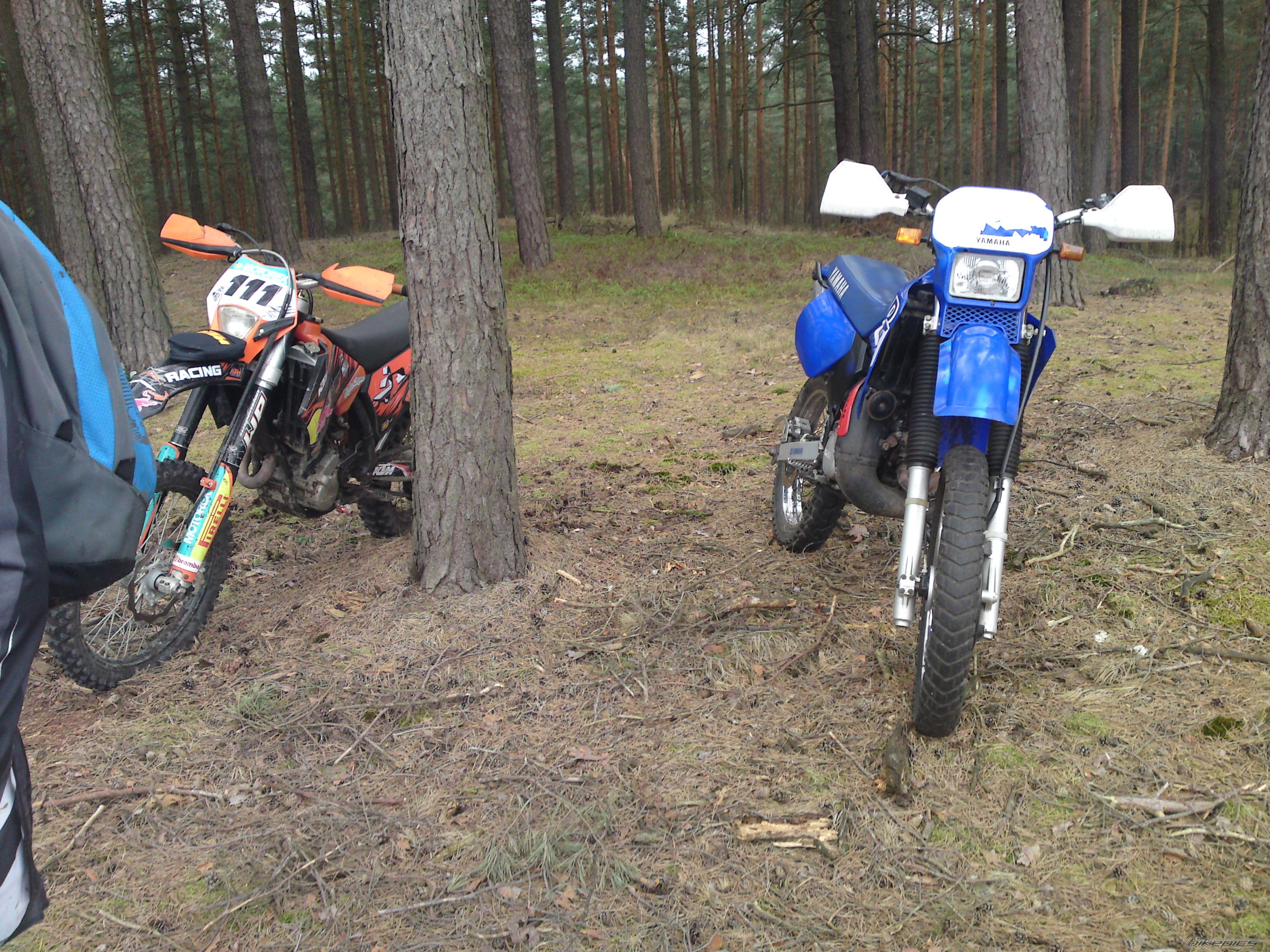 Photo 2569611