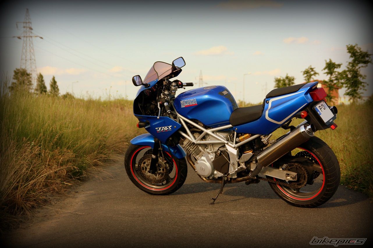 Photo 2569685