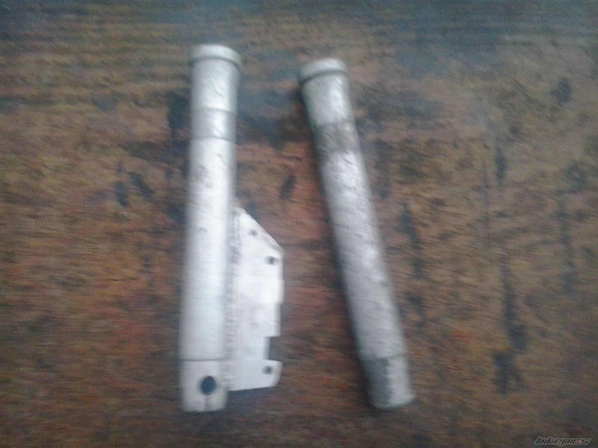 Photo 2569807