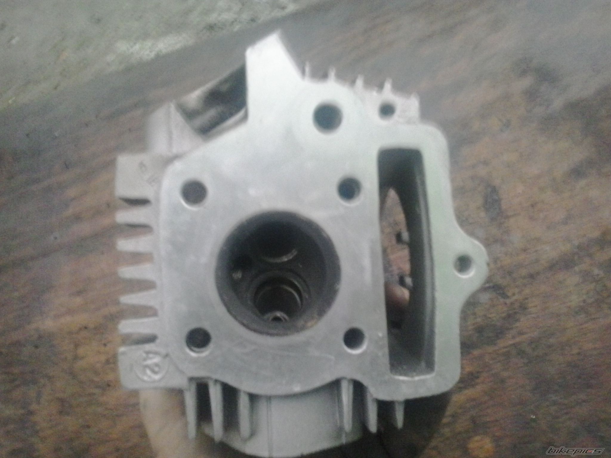 Photo 2569828