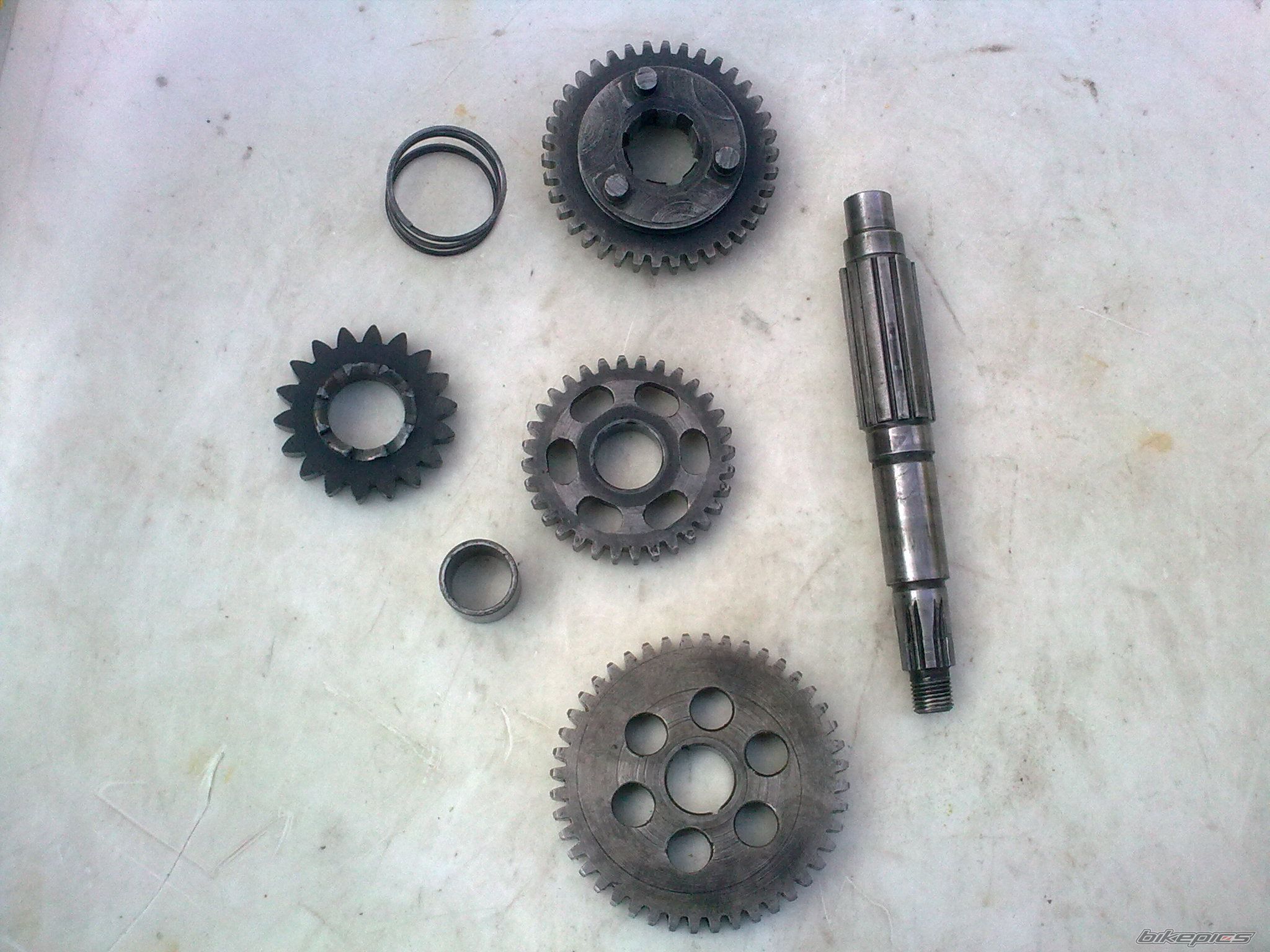Photo 2569861