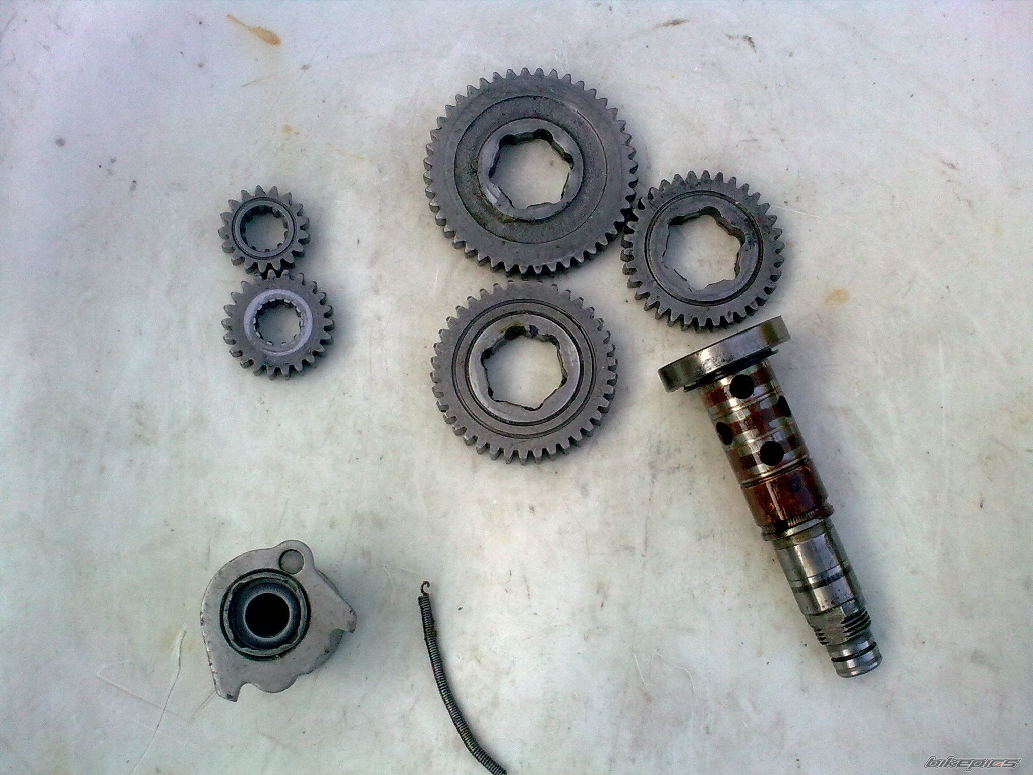 Photo 2569870