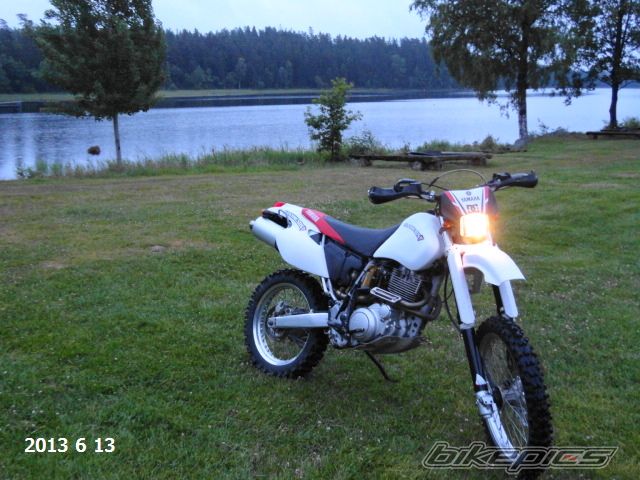 Photo 2569876
