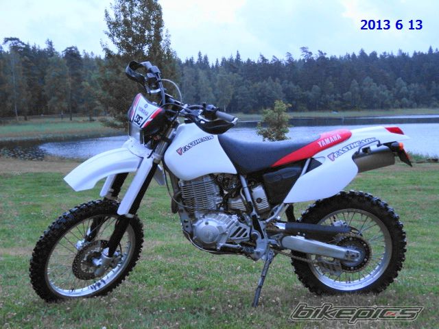Photo 2569878