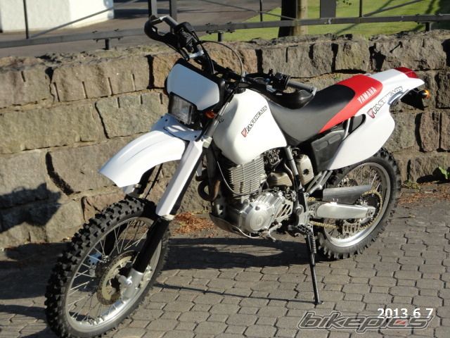 Photo 2569883