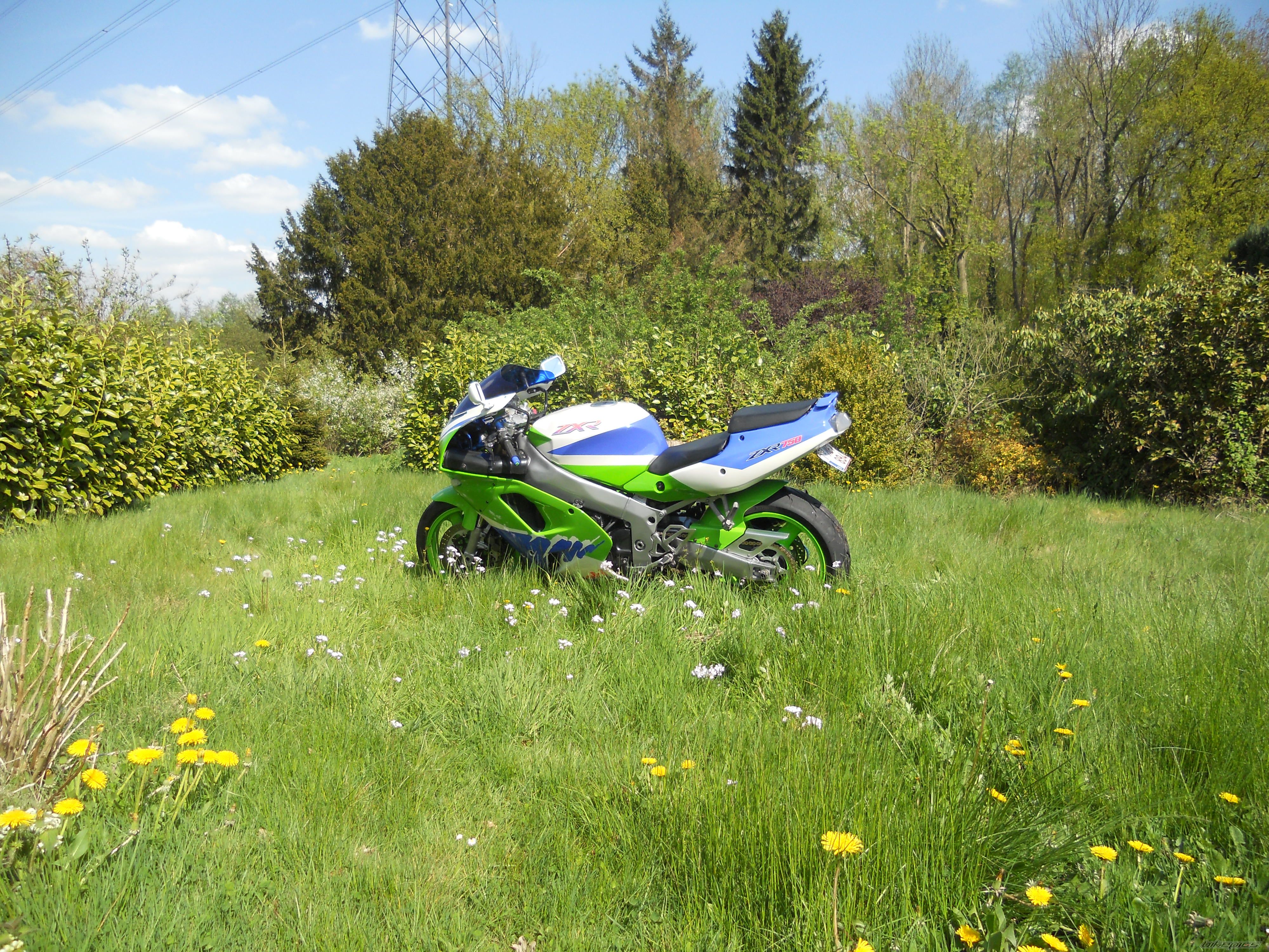 Photo 2569891