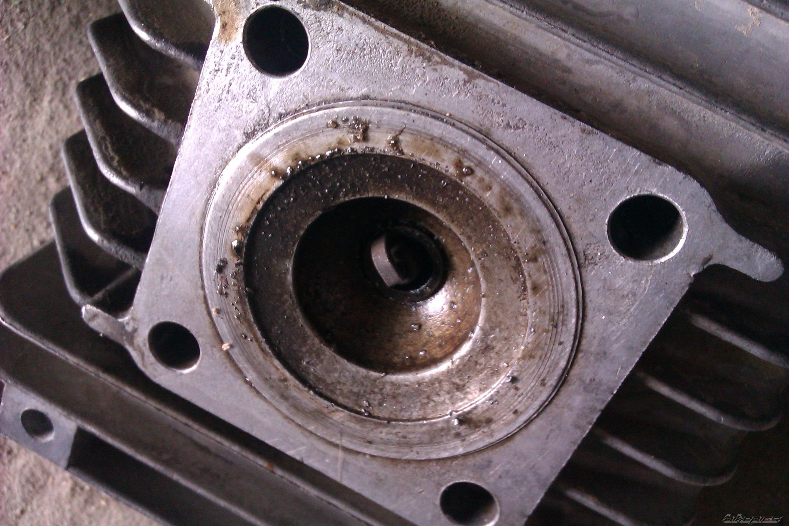Photo 2569988