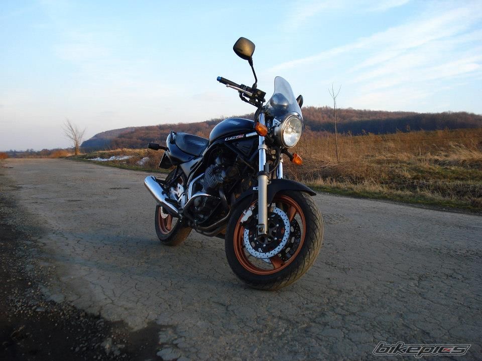 Photo 2570063