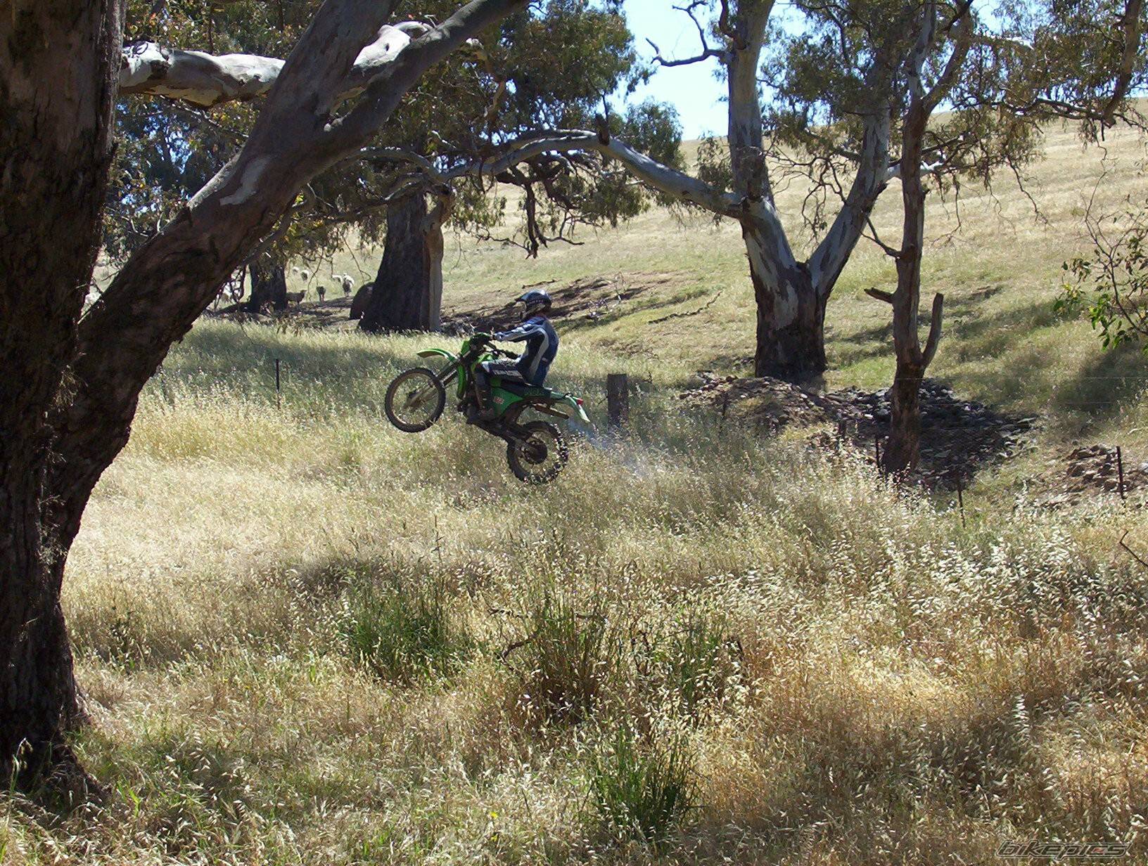 Photo 257015