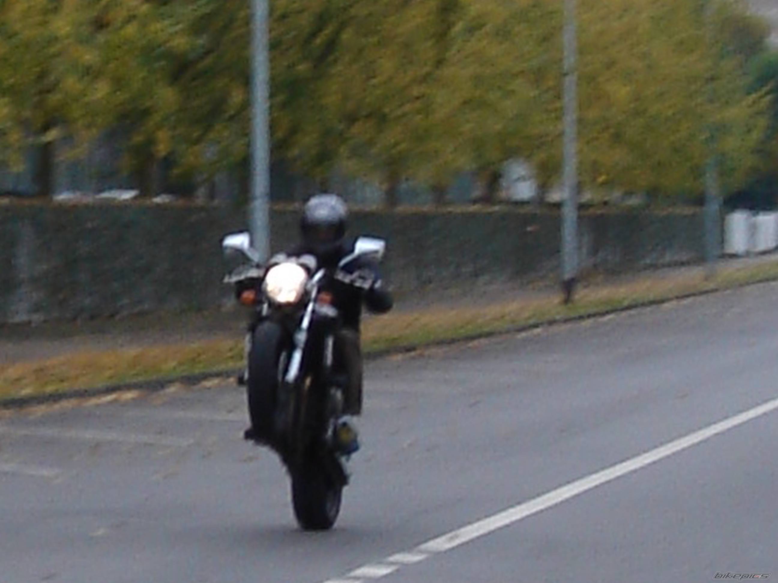 Photo 257027