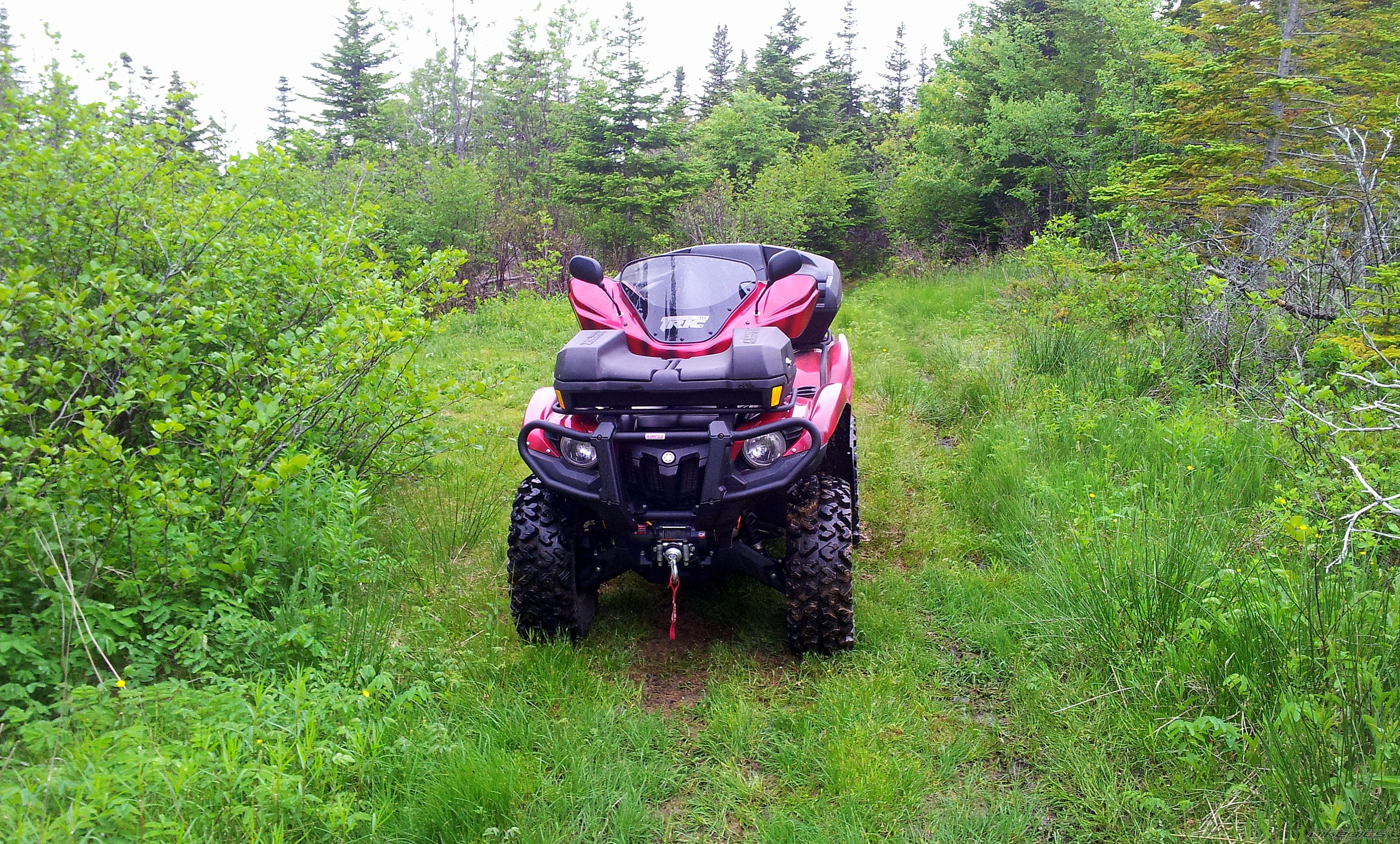 Photo 2570323