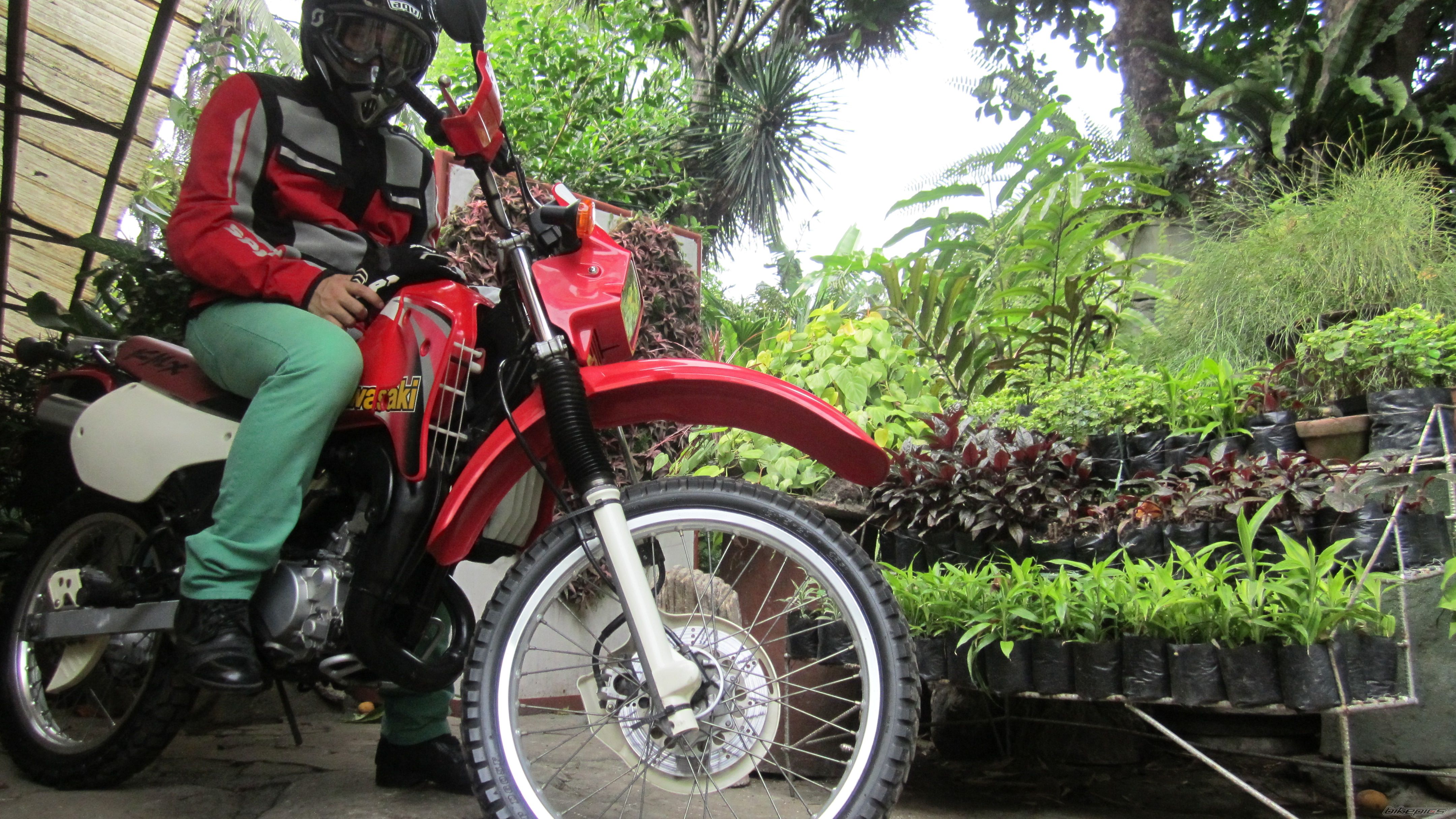 Photo 2570373