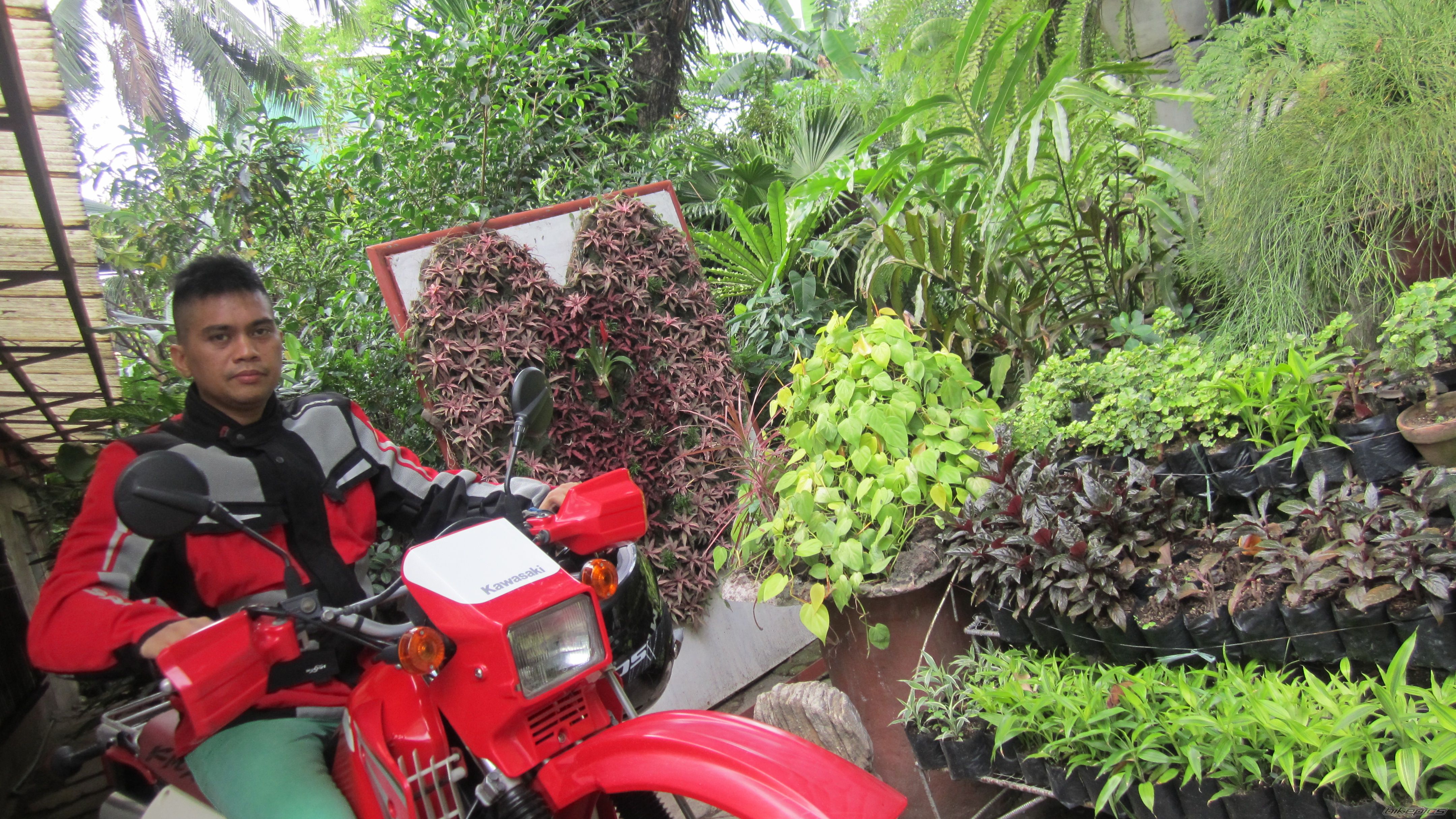 Photo 2570380