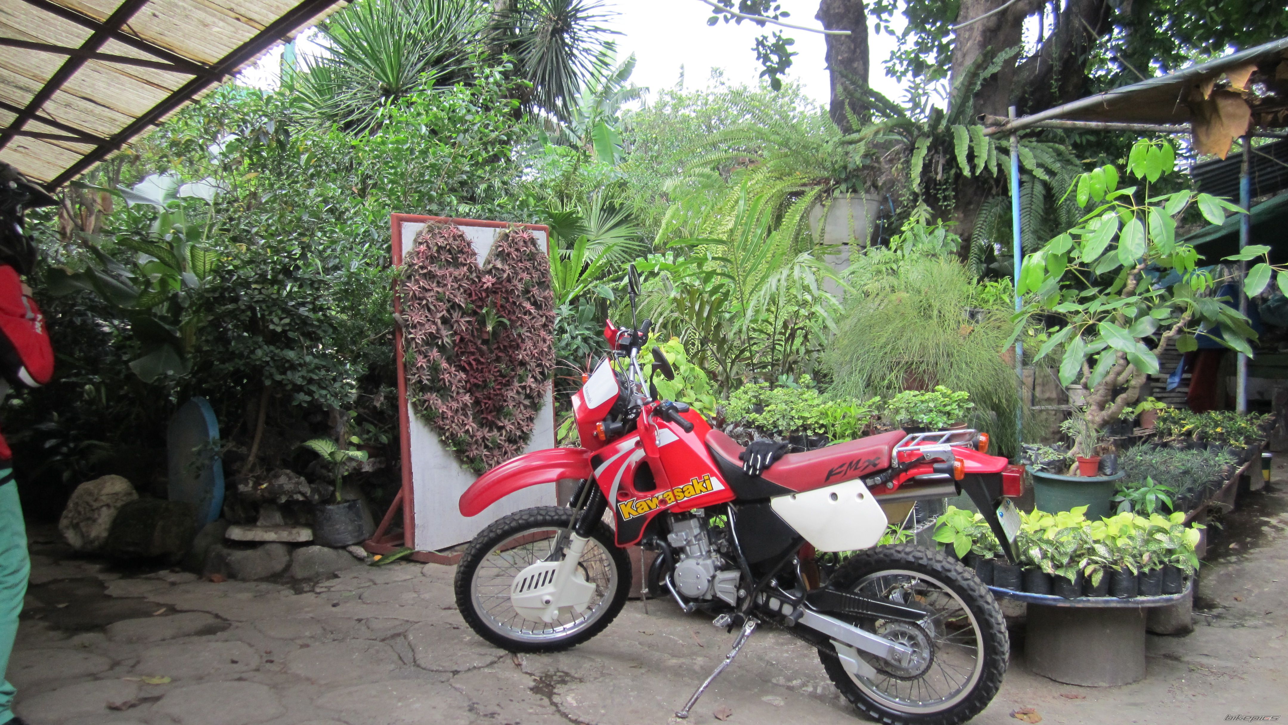 Photo 2570388
