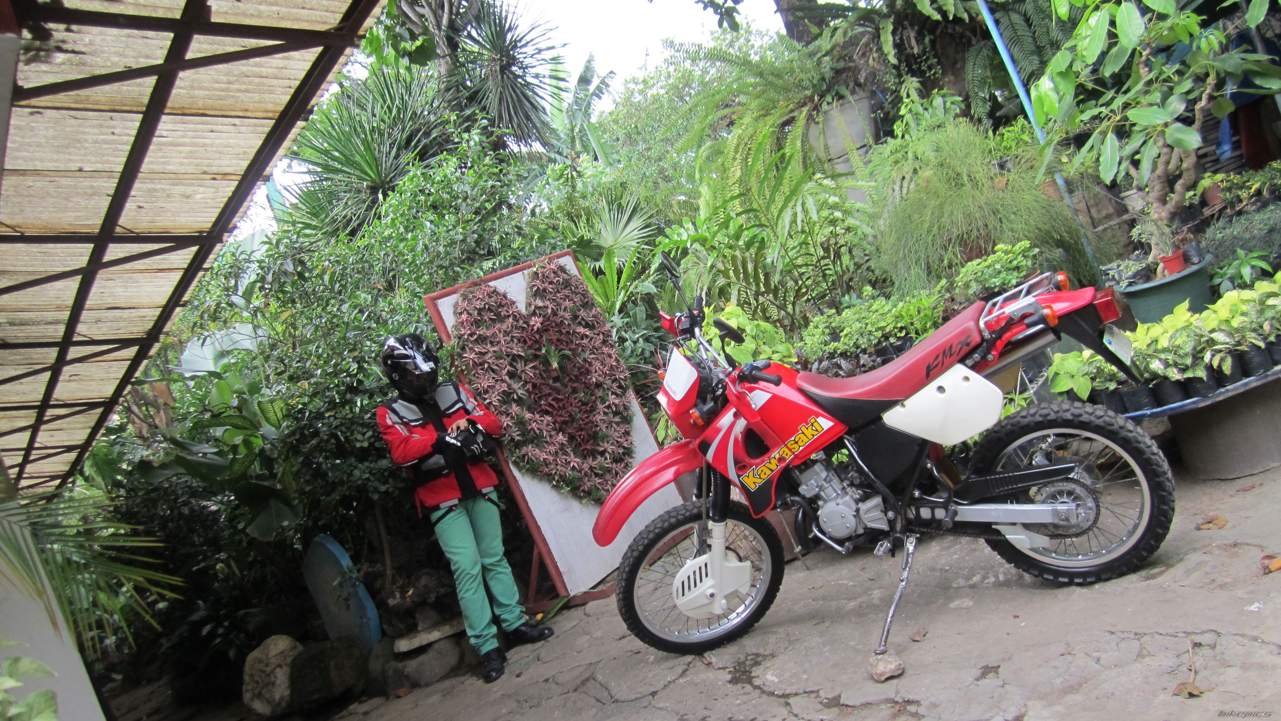 Photo 2570389