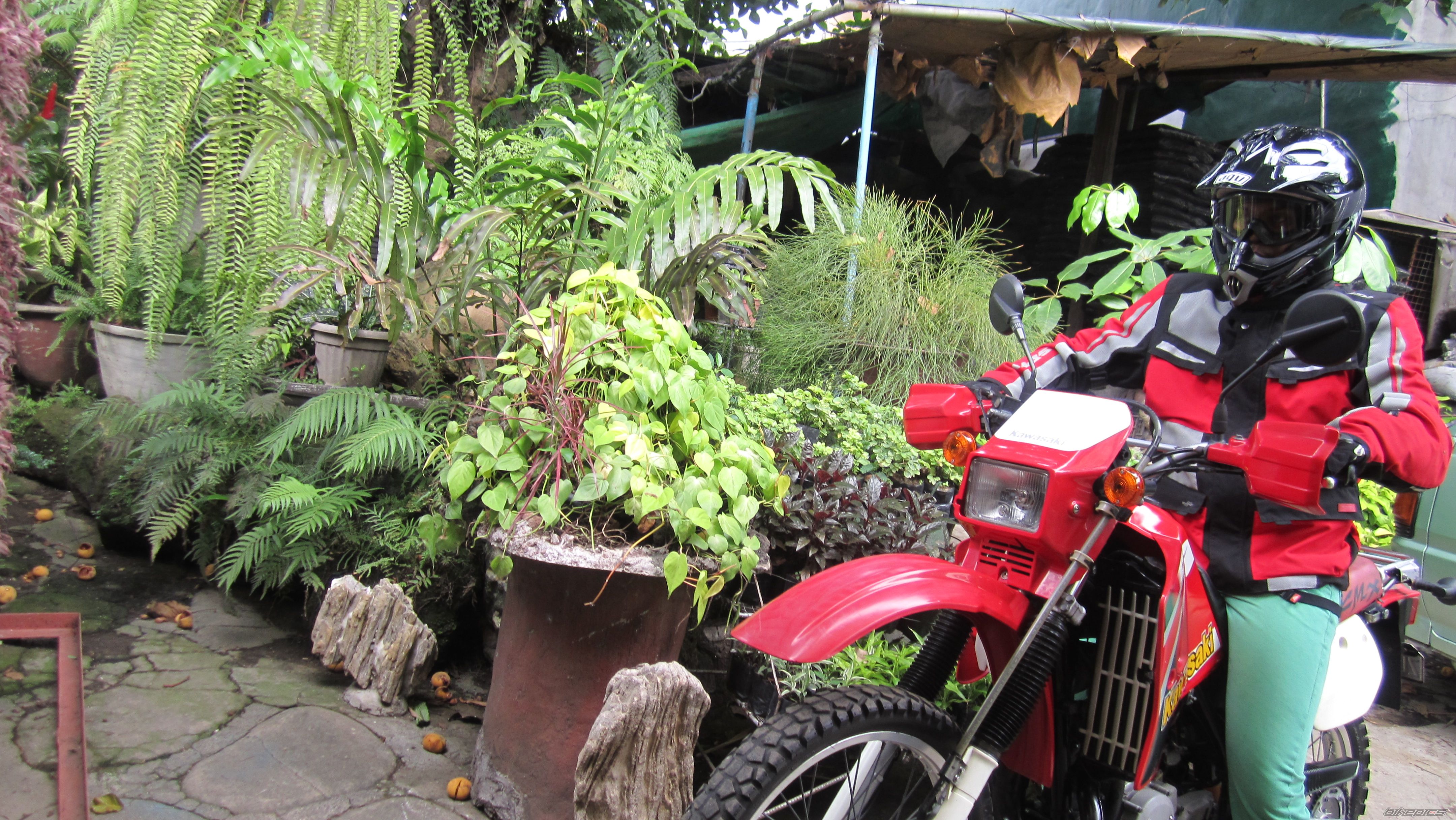 Photo 2570393