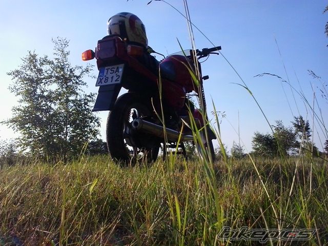 Photo 2570455