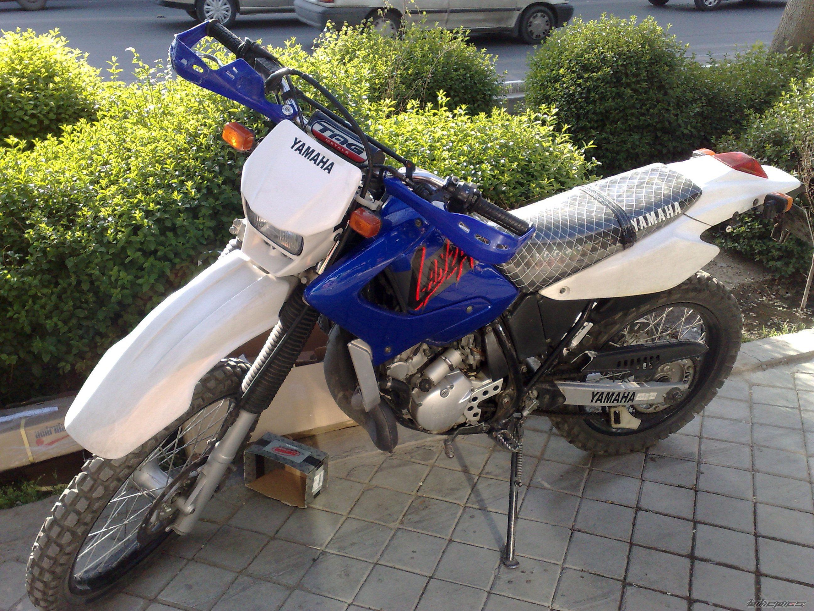 Photo 2570494
