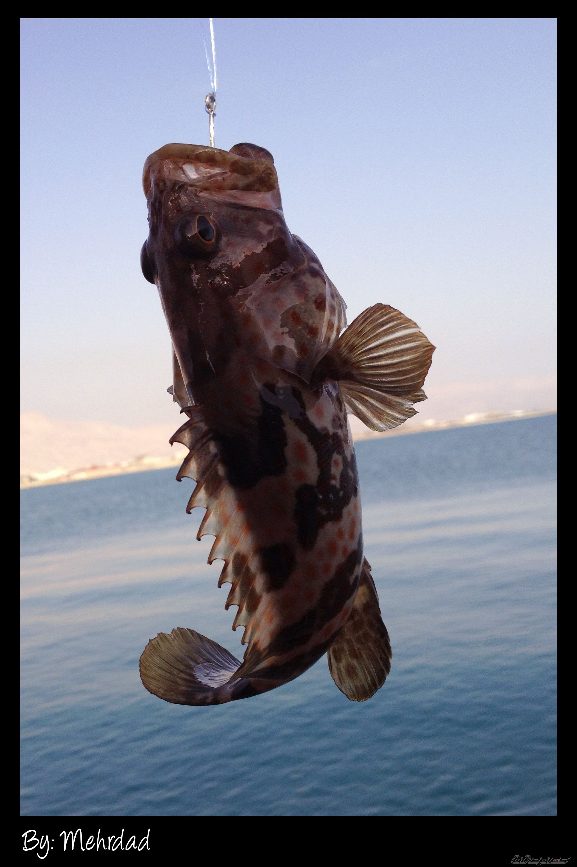 Photo 2570512